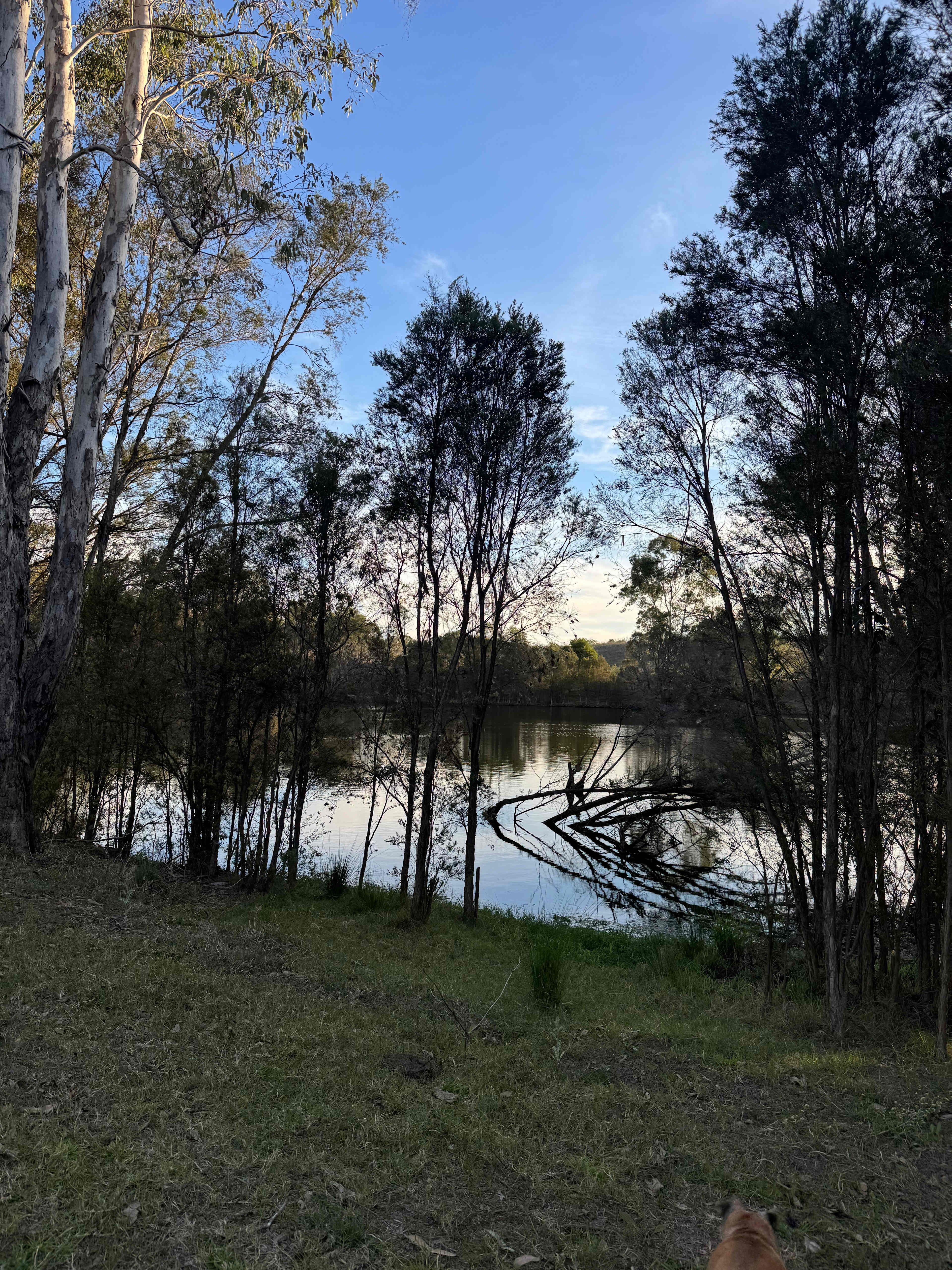 Paradise Lost on the Burnett