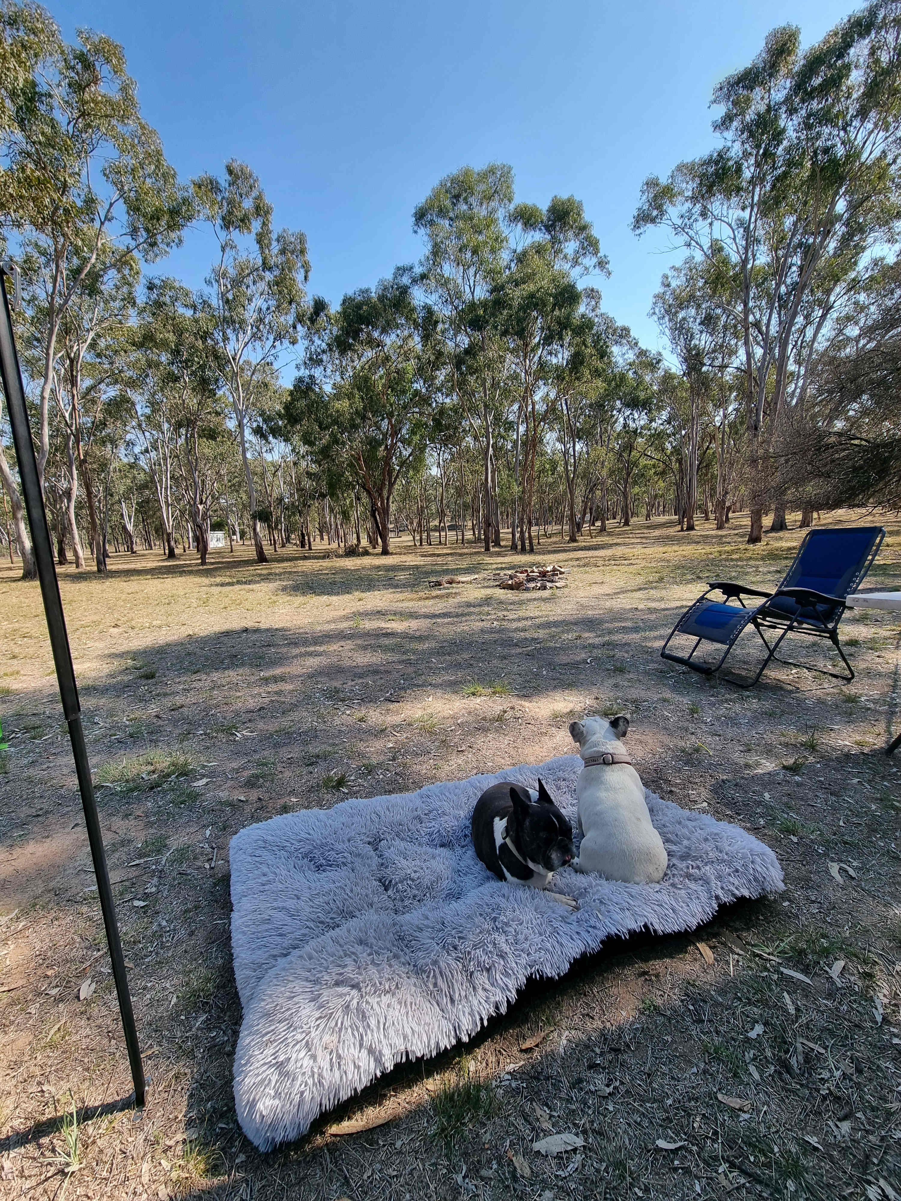 Callemondah Farm Camping