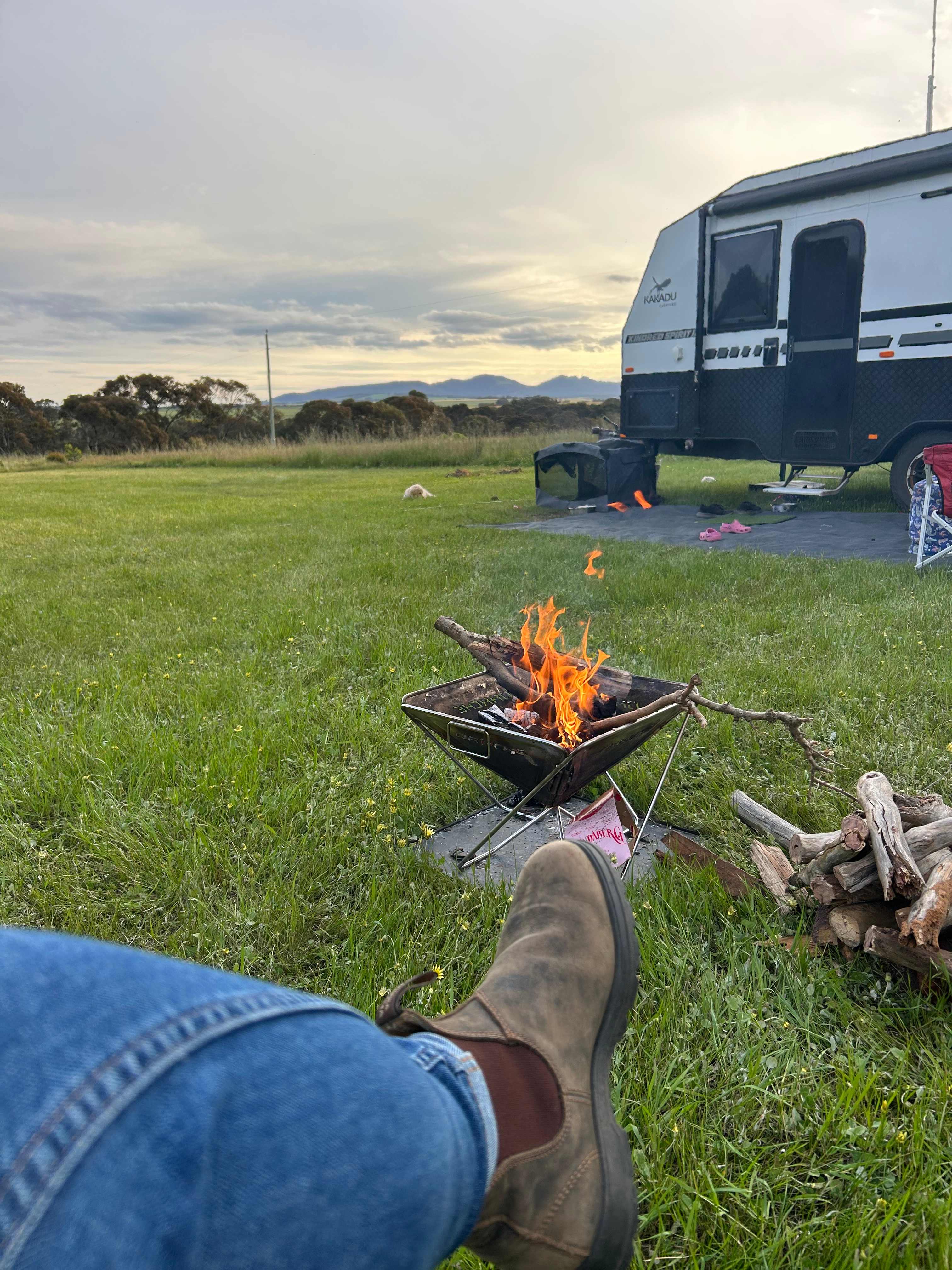 Campfire drinks and marshmallows. 