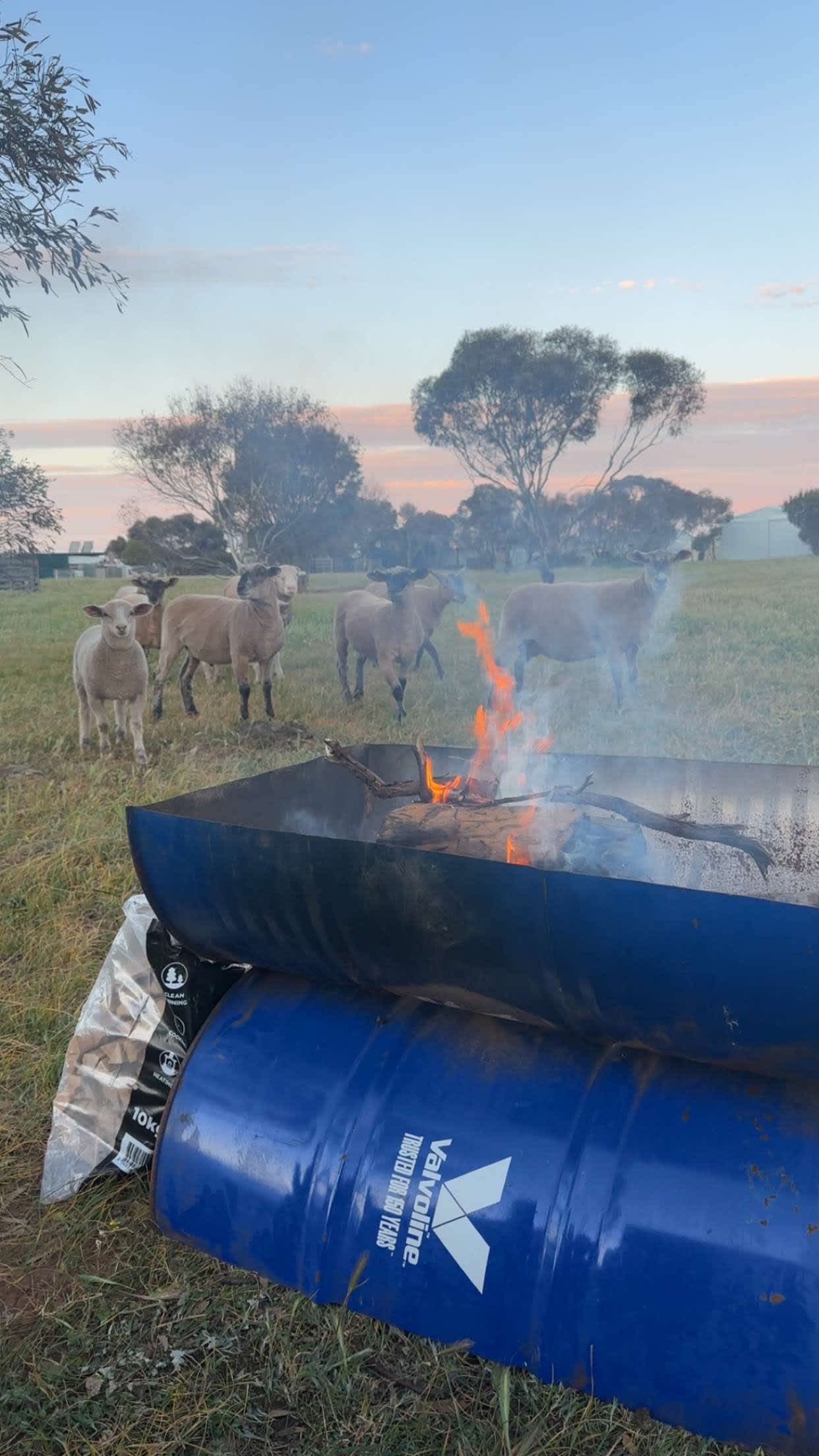 Perfect camping spot
