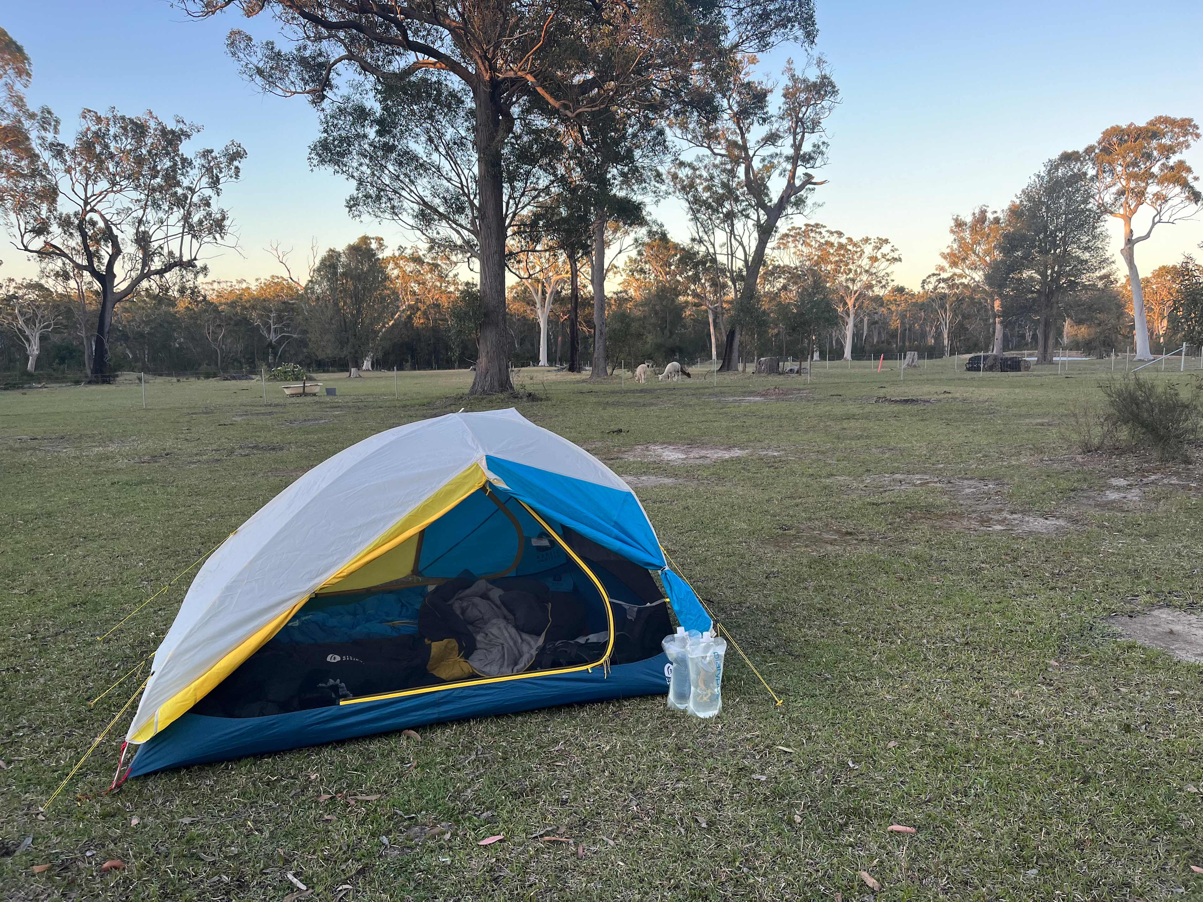 Sussex Horses For Healing
