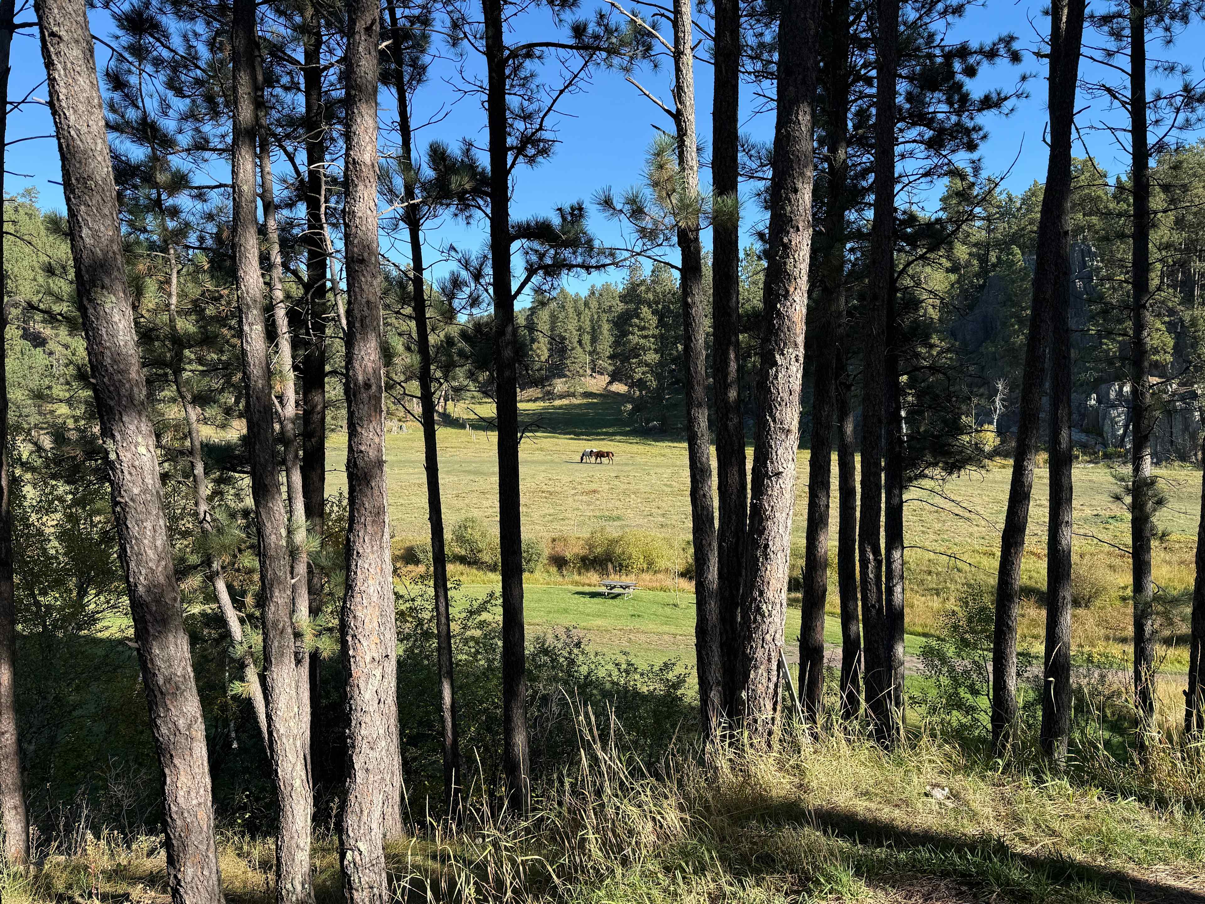 Horse Creek Resort RV Sites