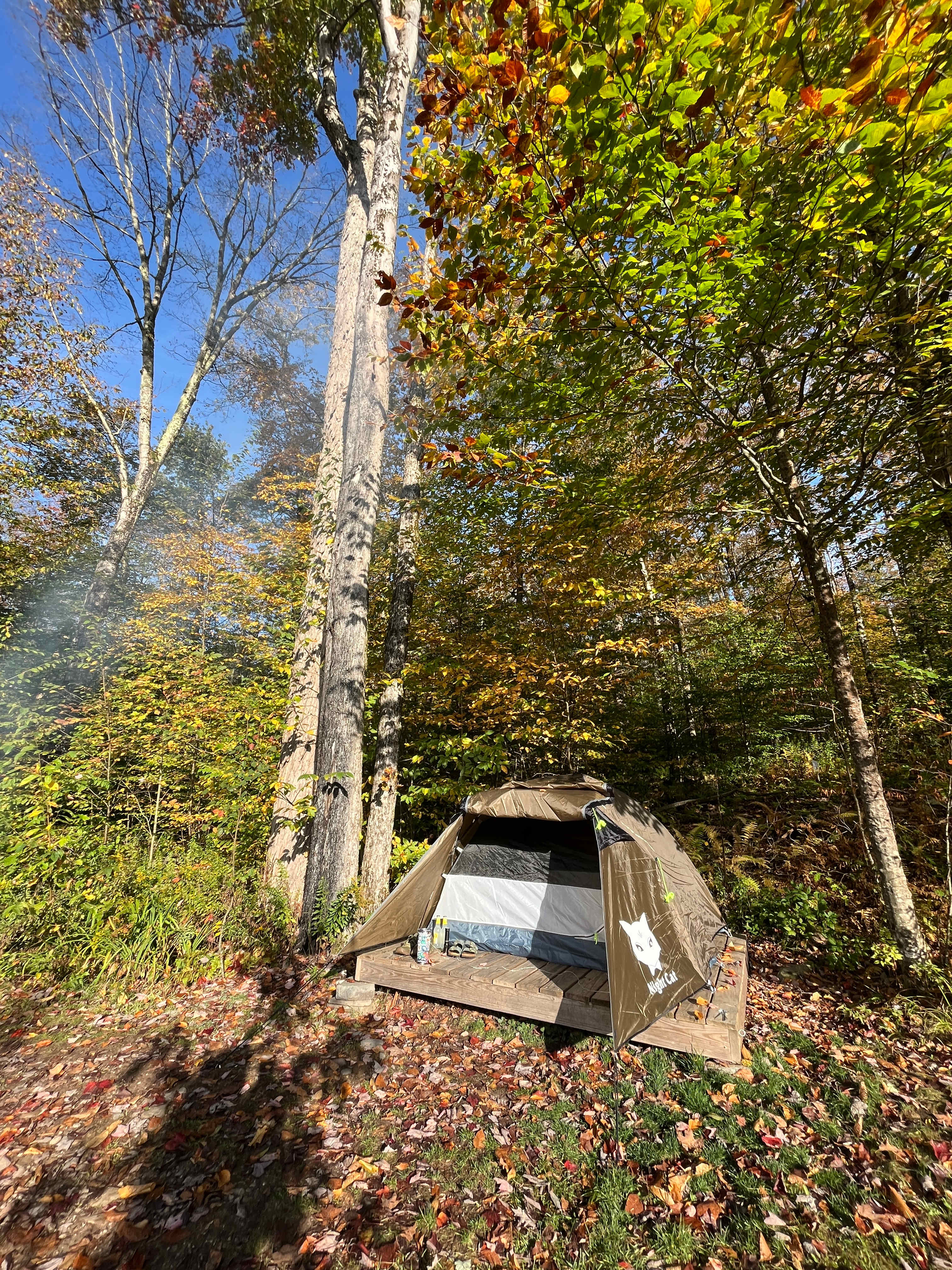 Our campsite in the morning 
