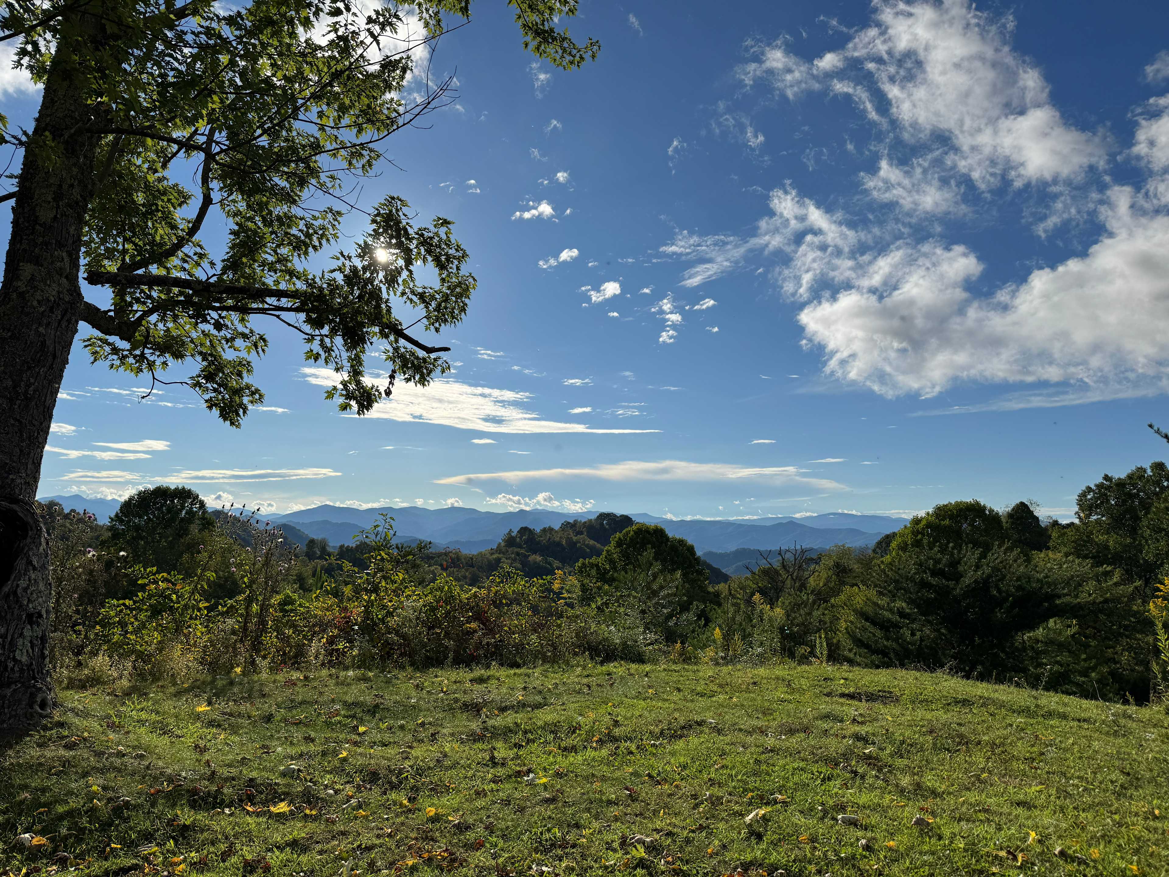 Pause || Eco-Retreat at Aramesh