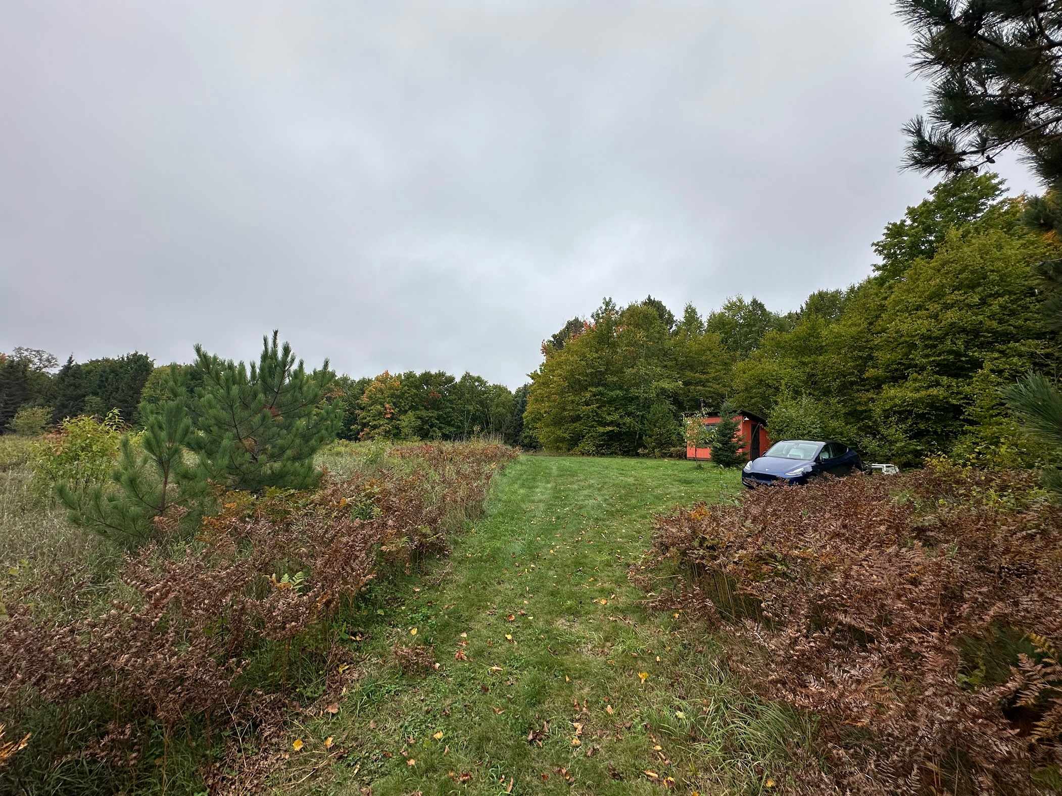 The view of our cabin from one of the trails