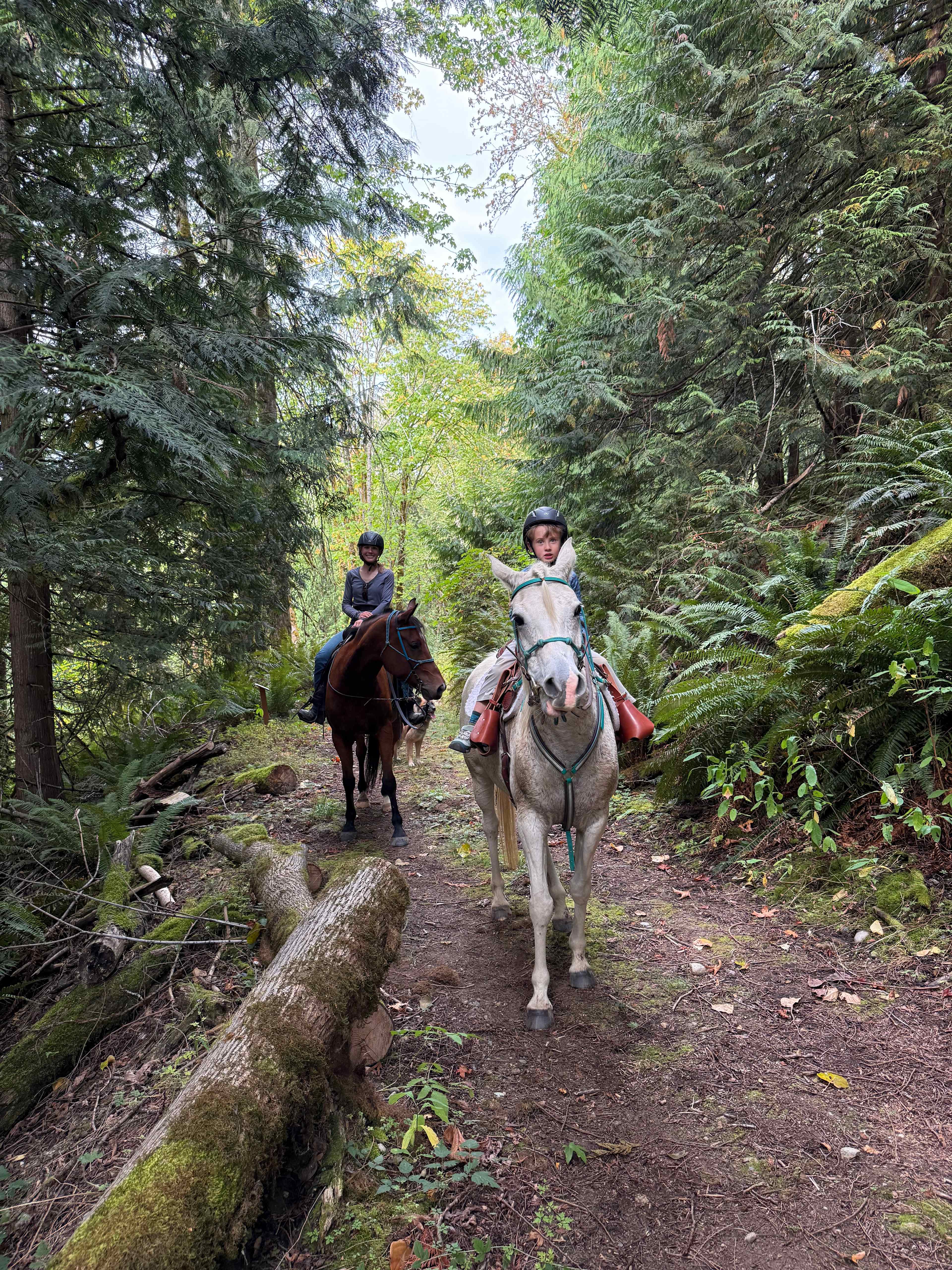 Rusty Ranch Tree Farm and Forest