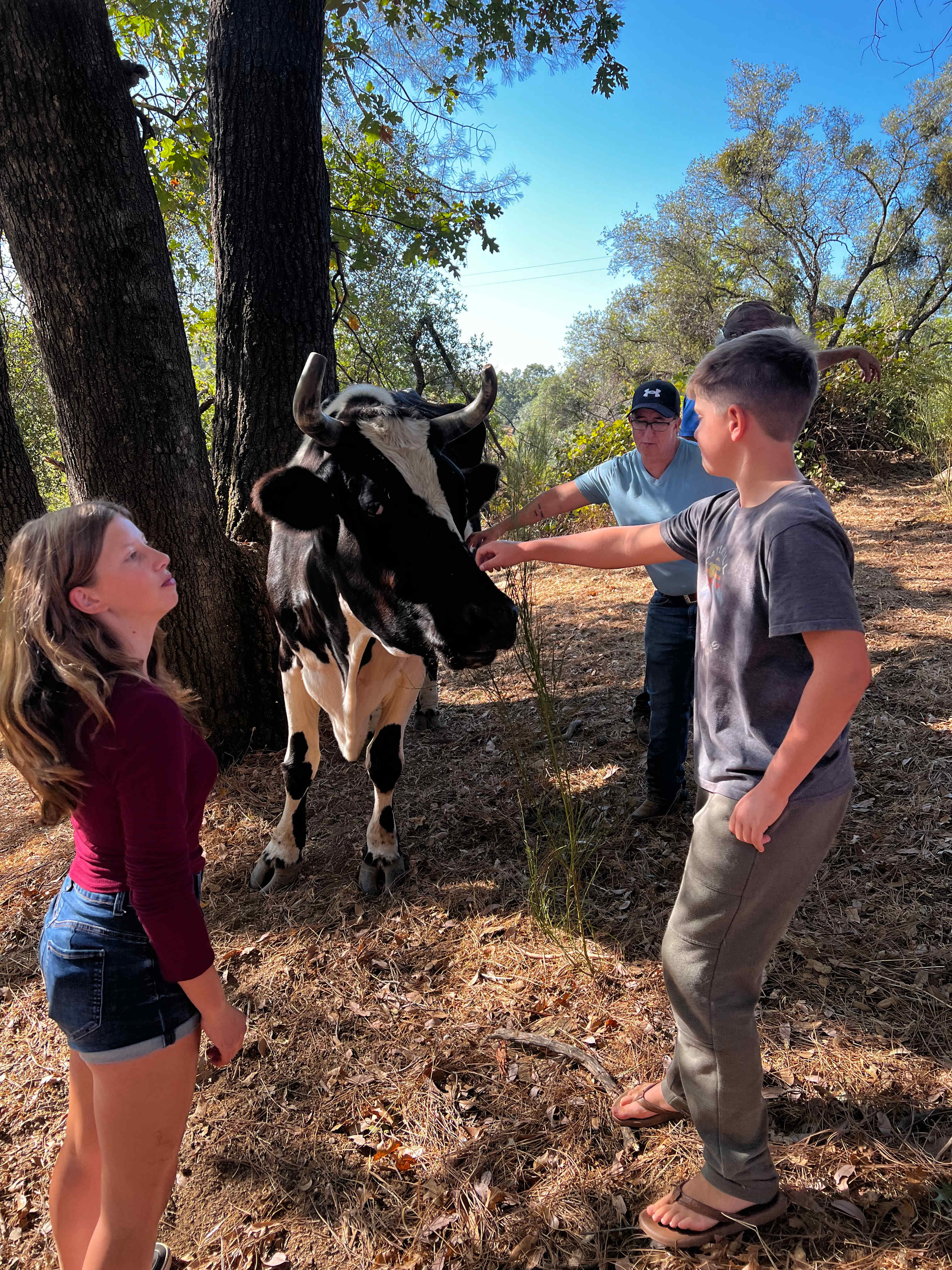 Animal Lovers Paradise