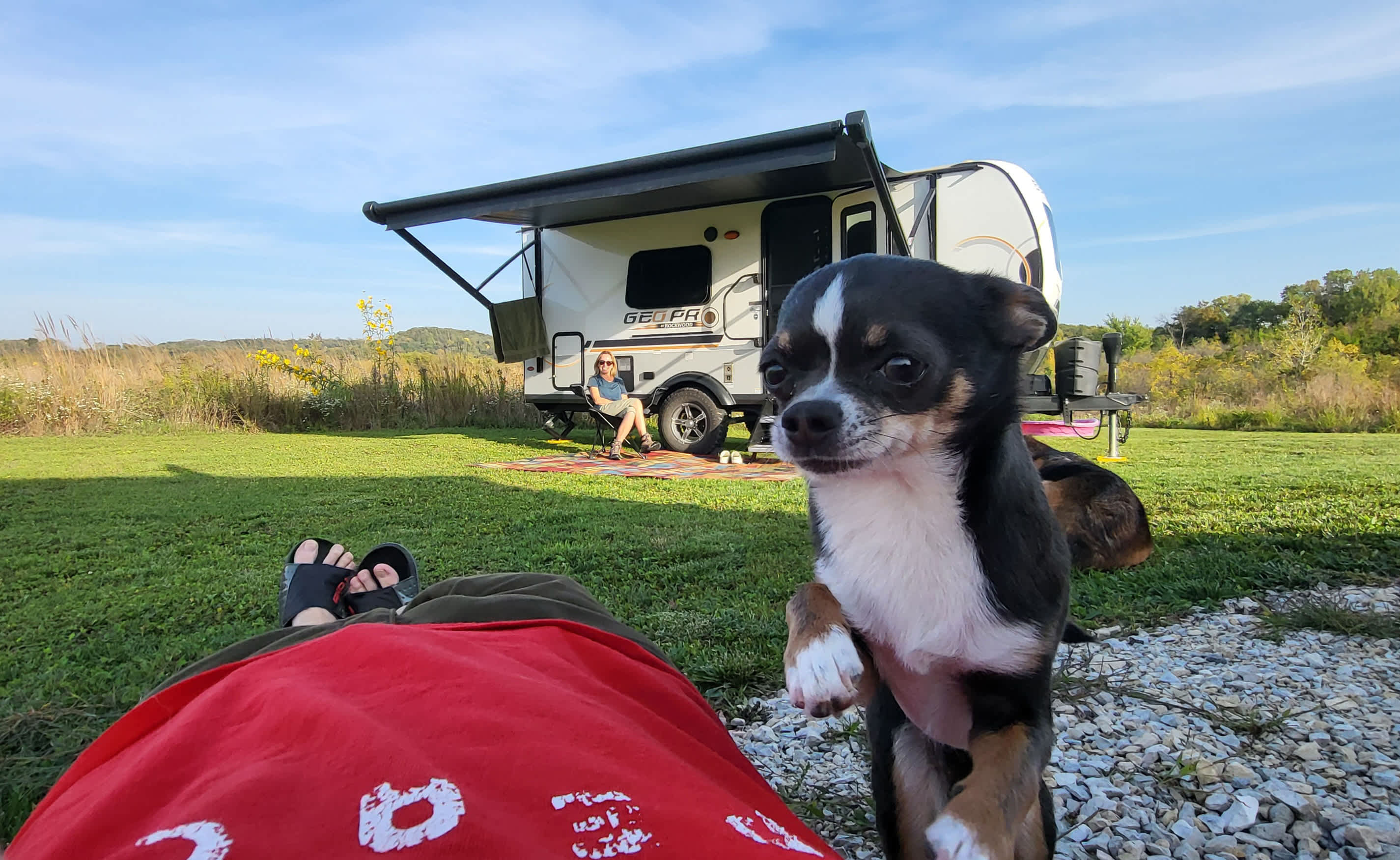 The dogs absolutely LOVED this place. So many neat trails!