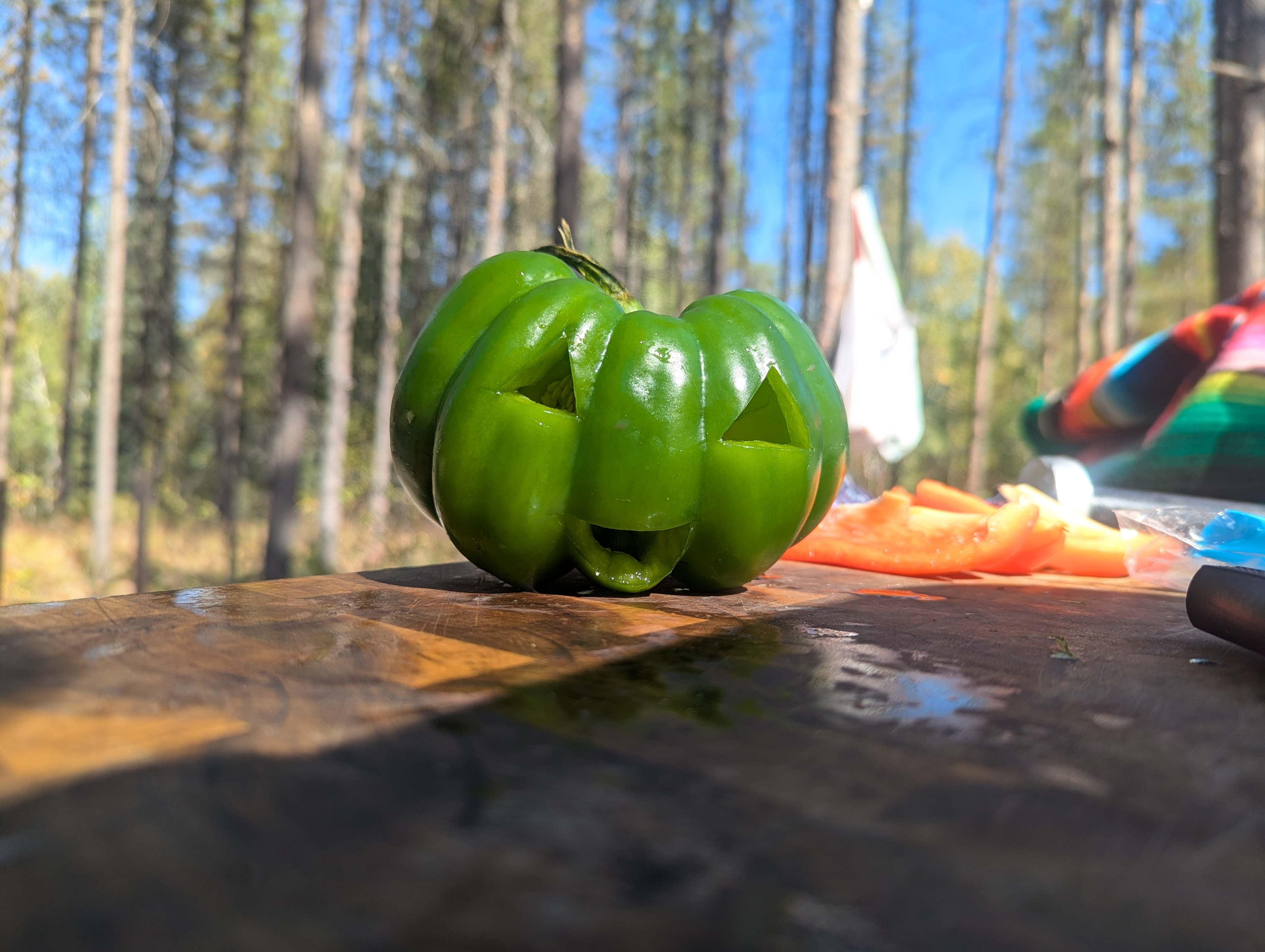 ❤️ Glacier Park HipCamp 🏕️