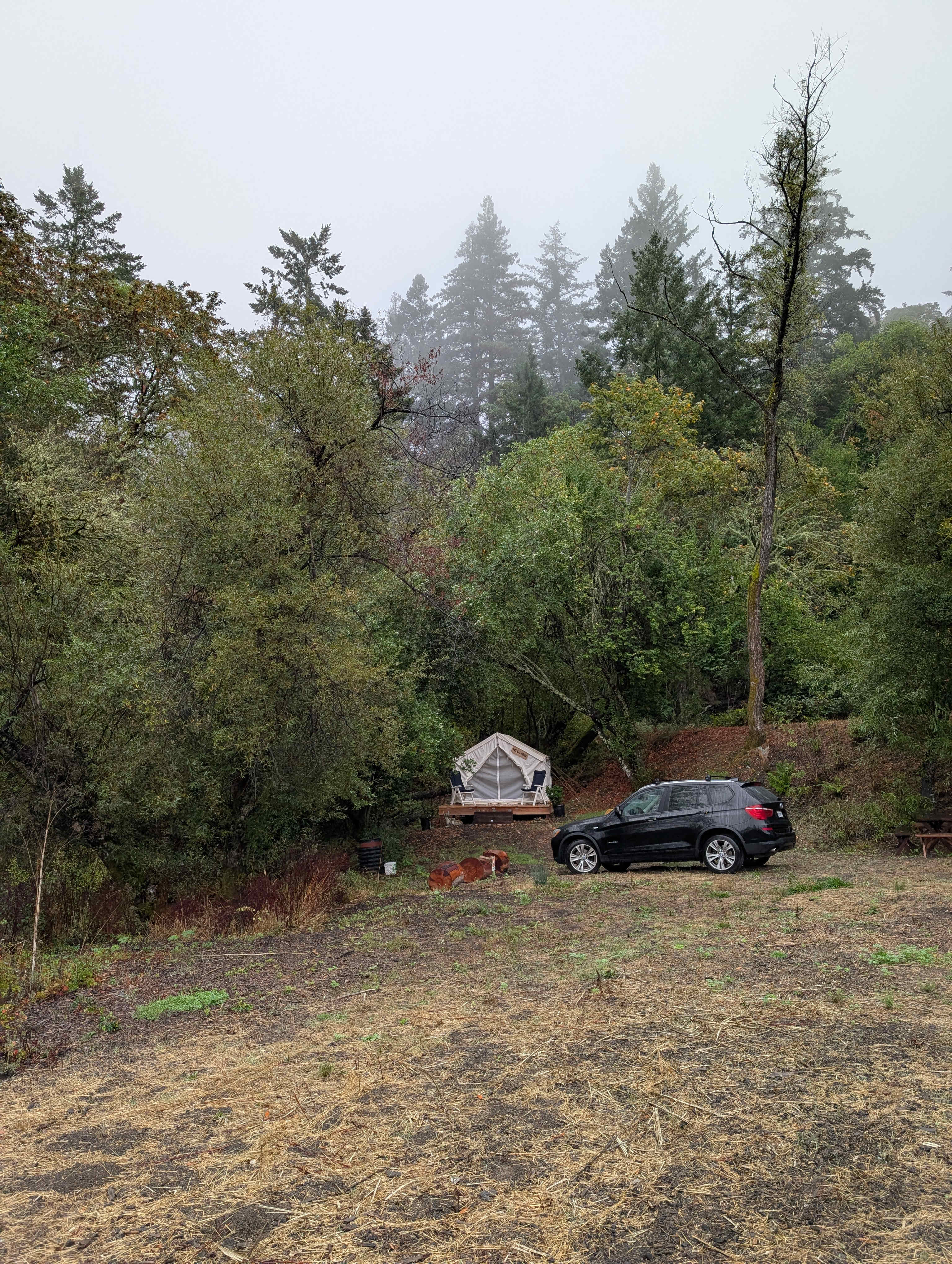 Santa Cruz Mountain Camping