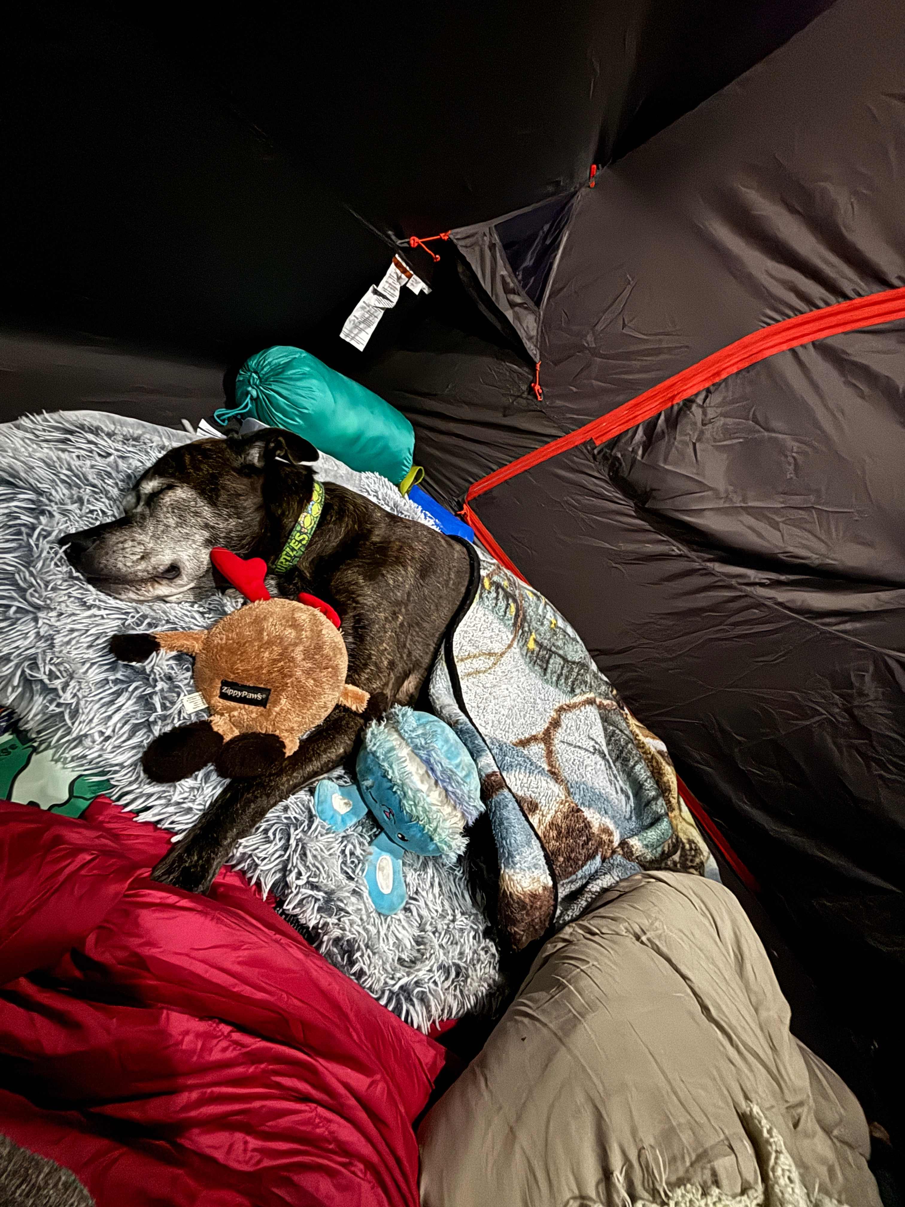 Earth Paradise Eco-Retreat