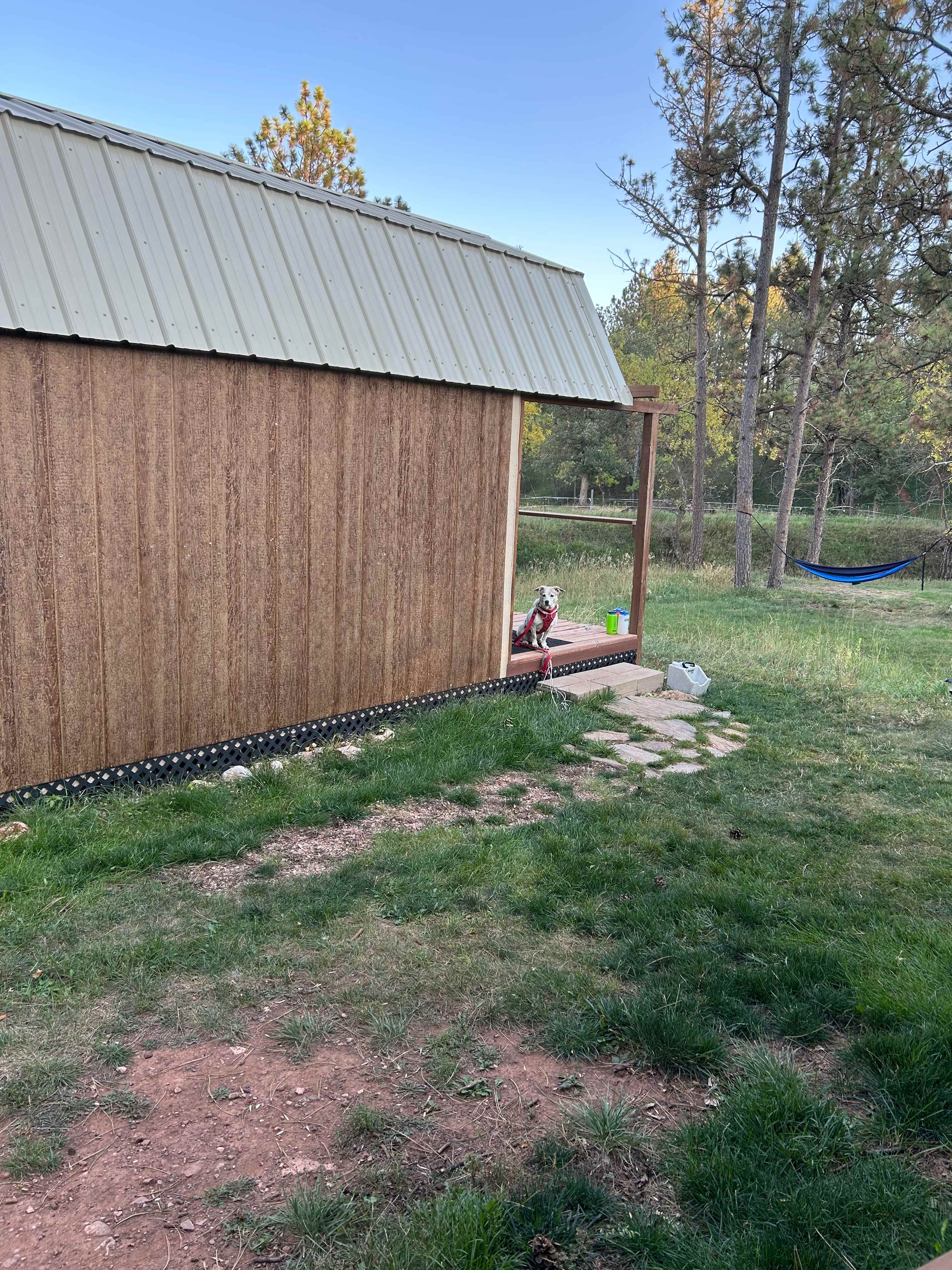 Path leading to the Lil Bear cabin.