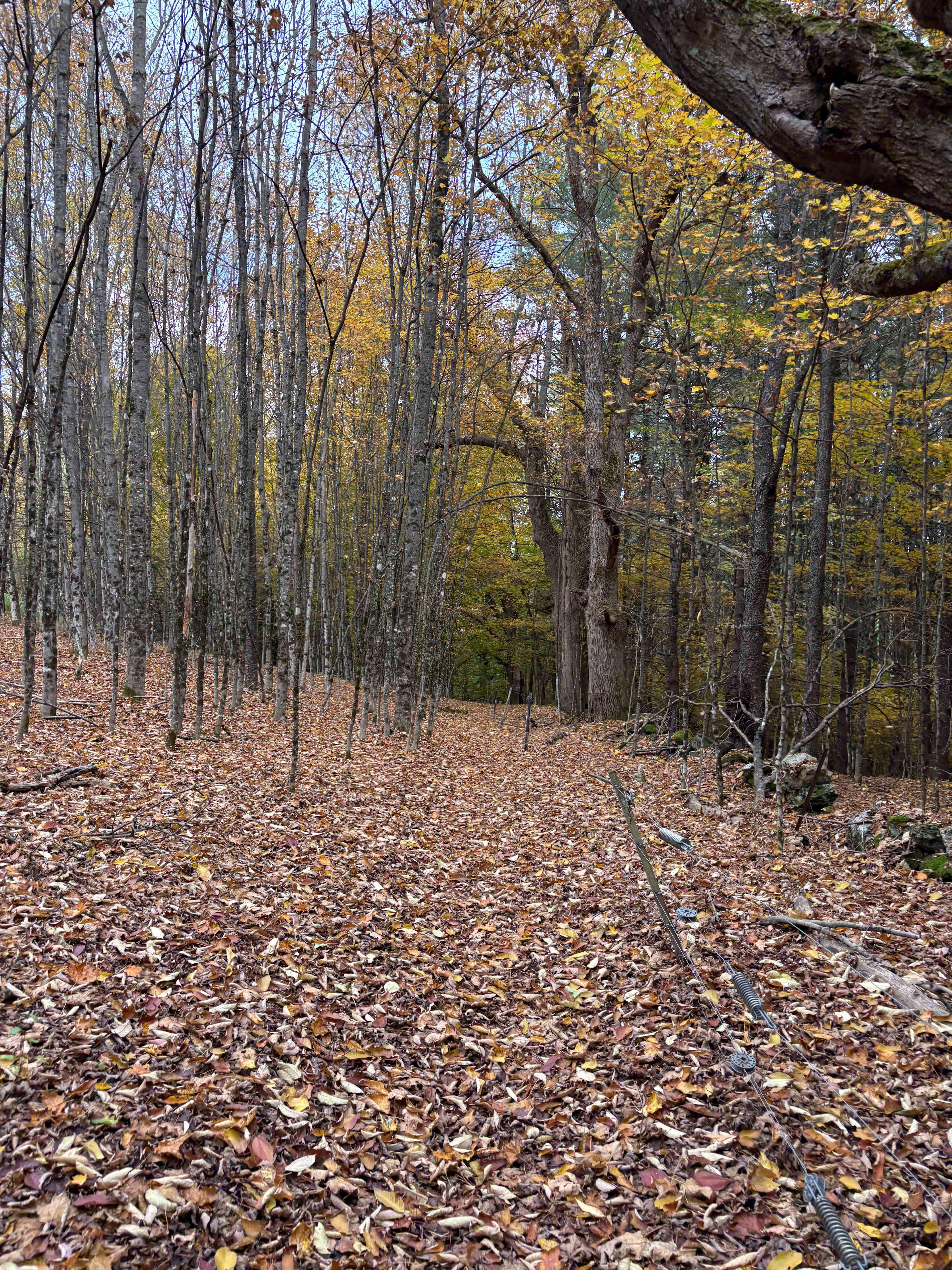 Mountain Home Tent Sites