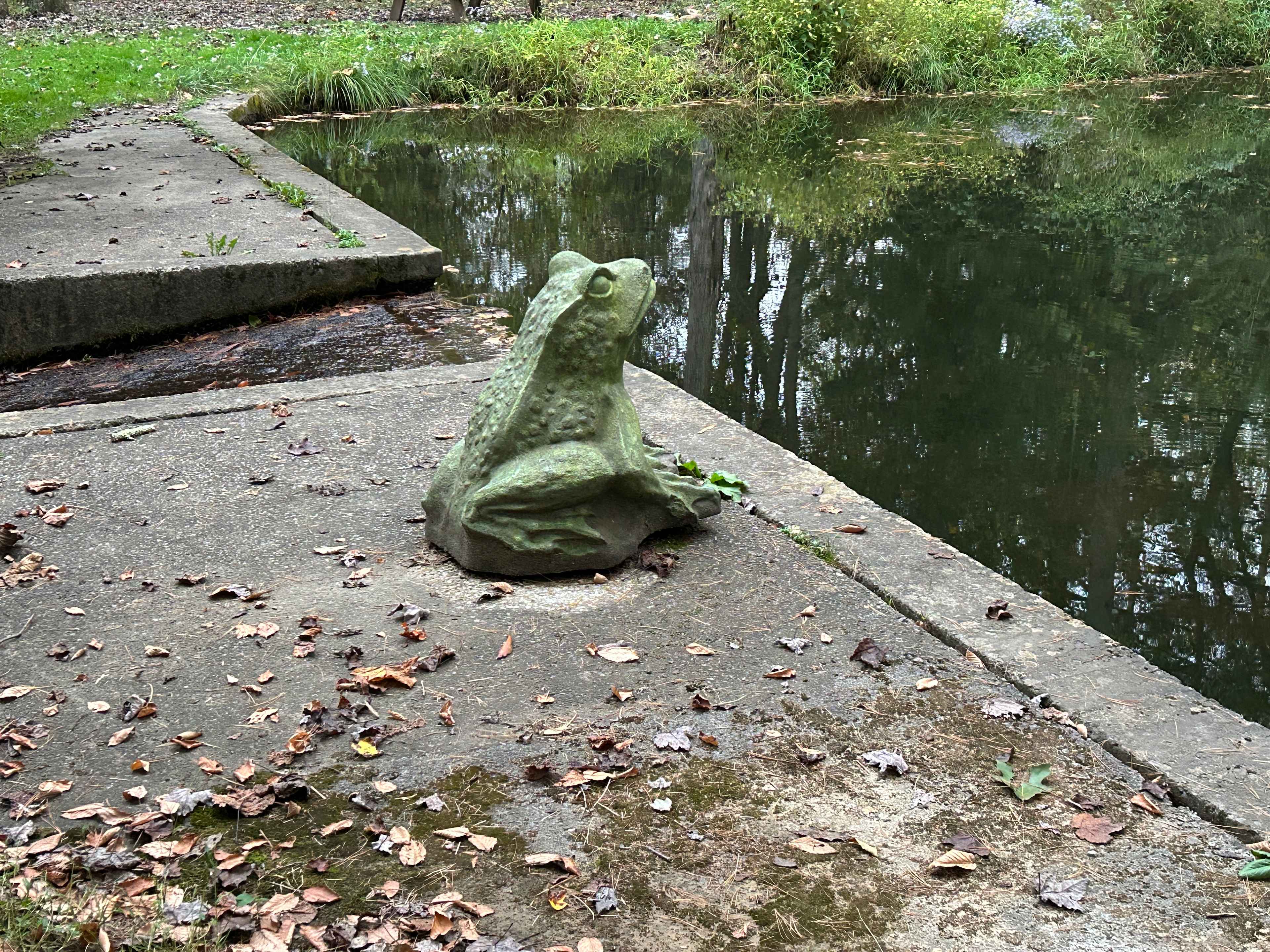 Frog sculpture next to the flowing water
