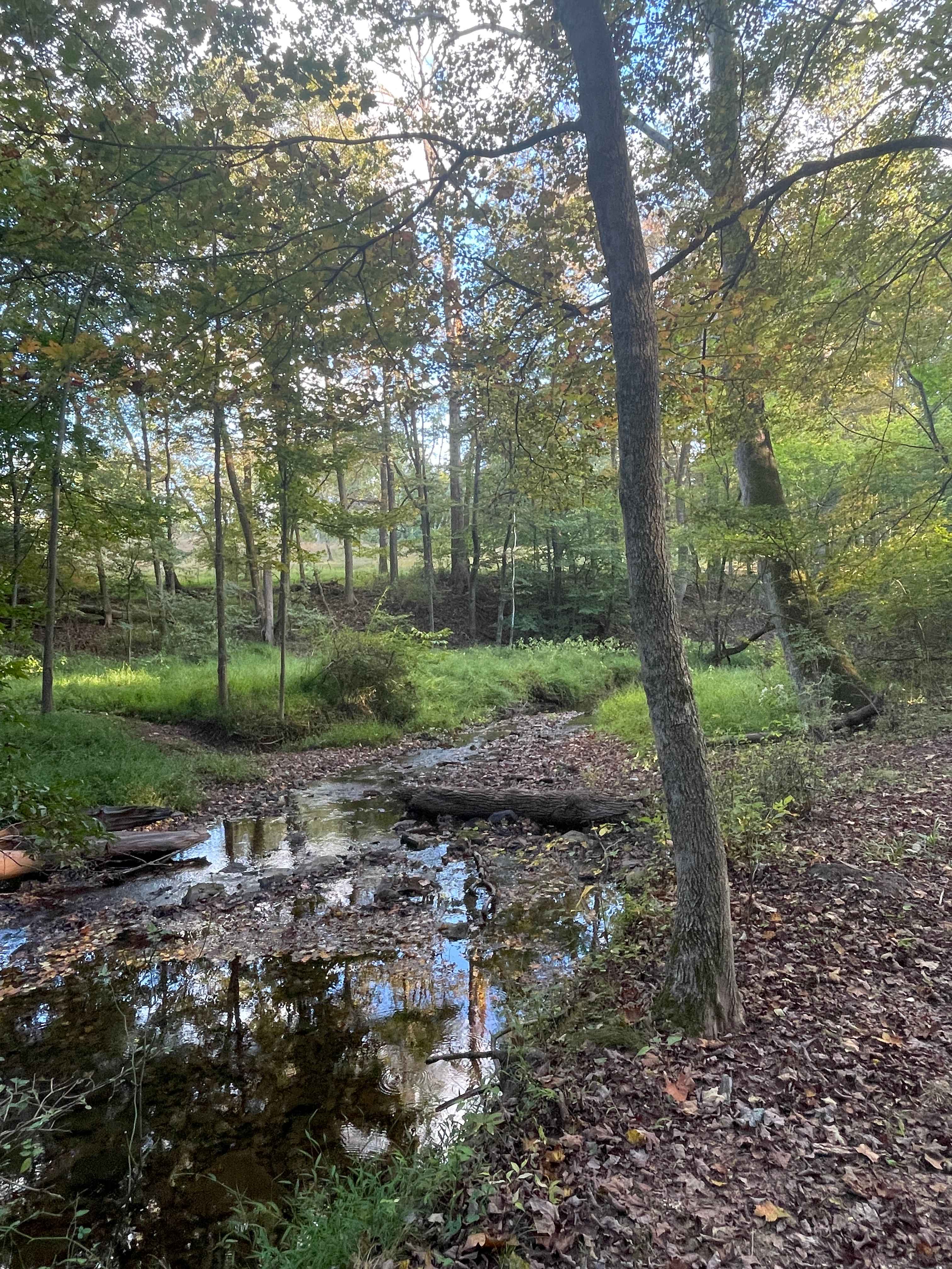 Secluded Creek Side Camping