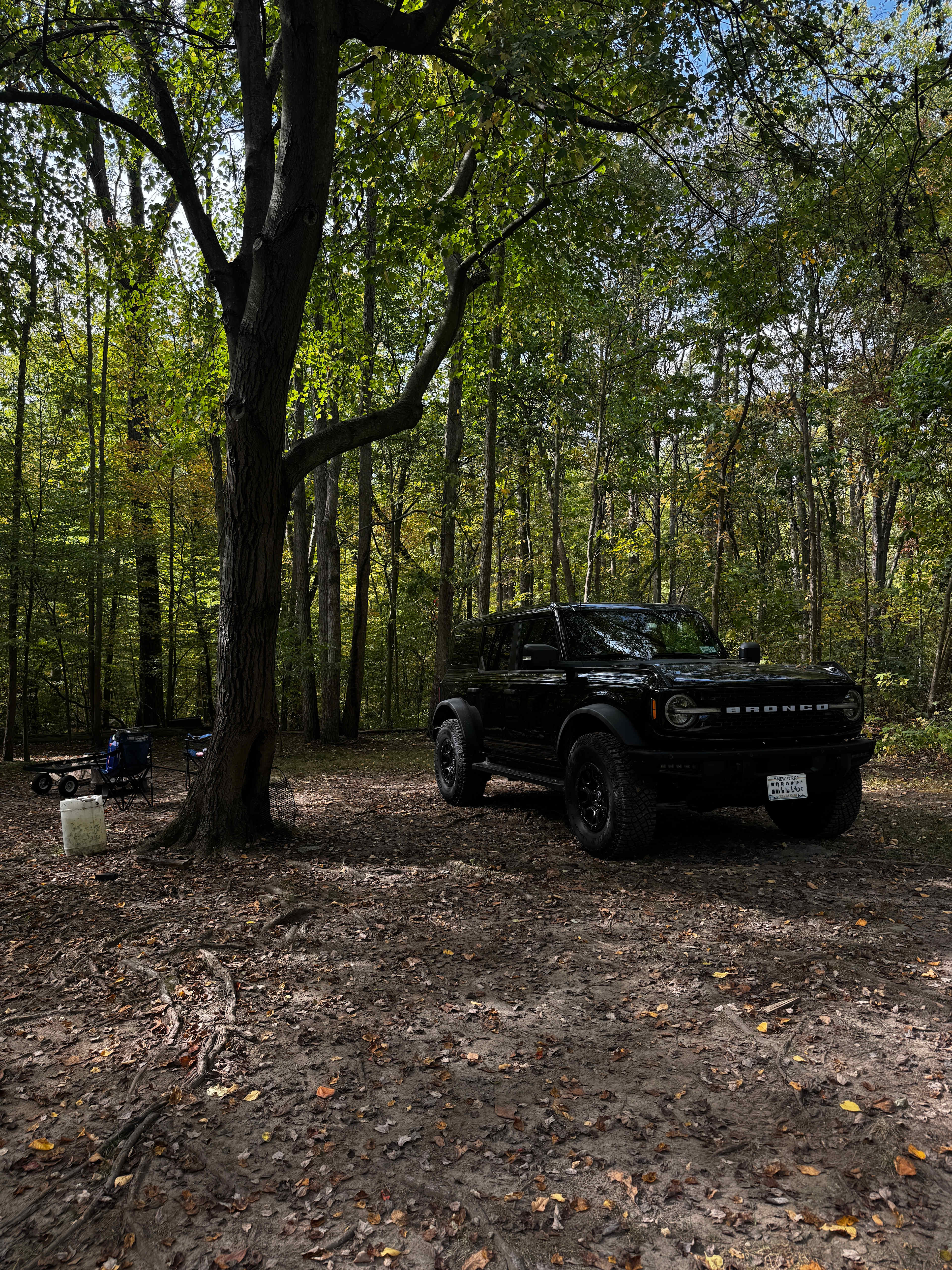 Paradise Valley Homestead