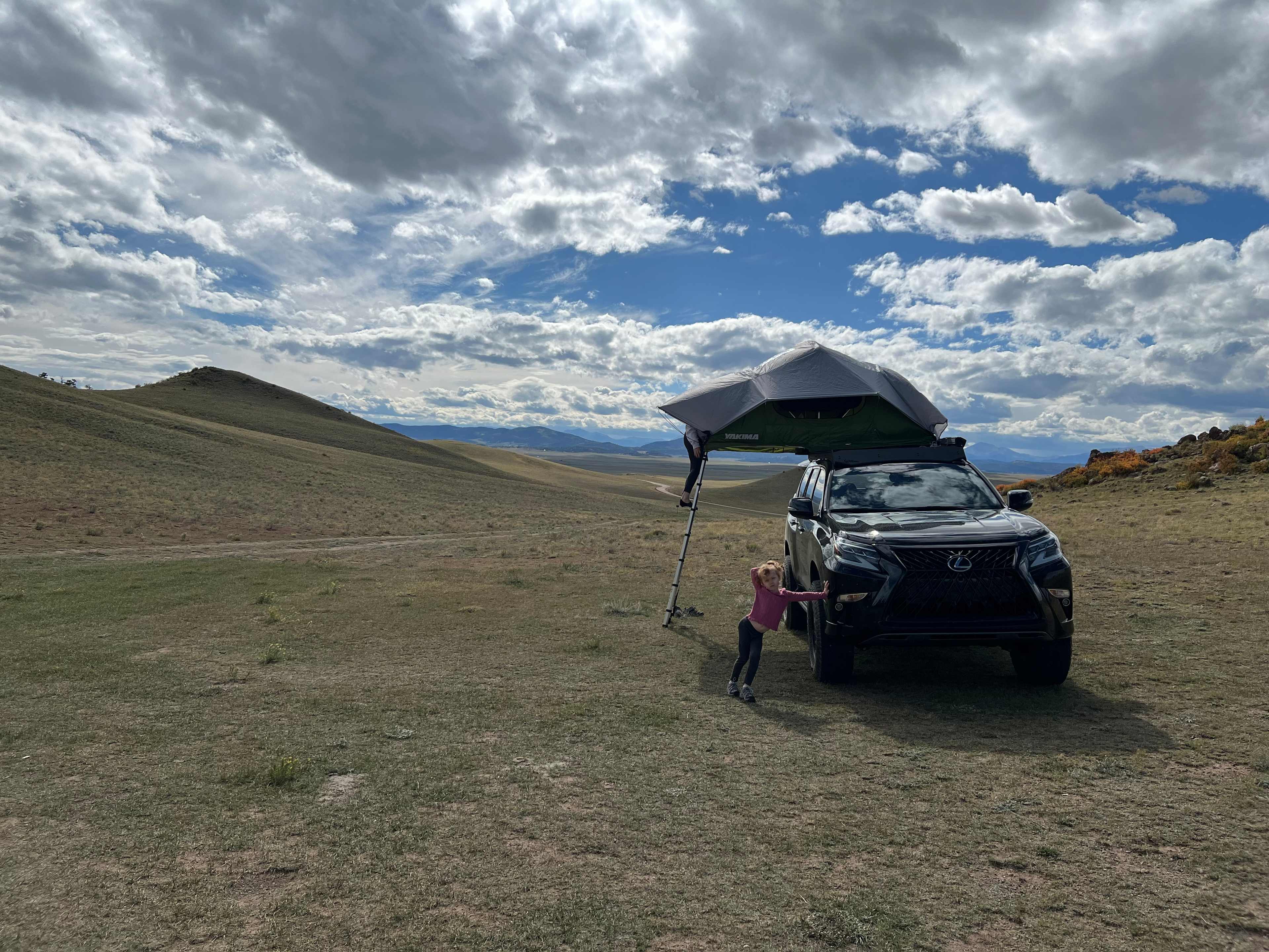 Pronghorn Oasis