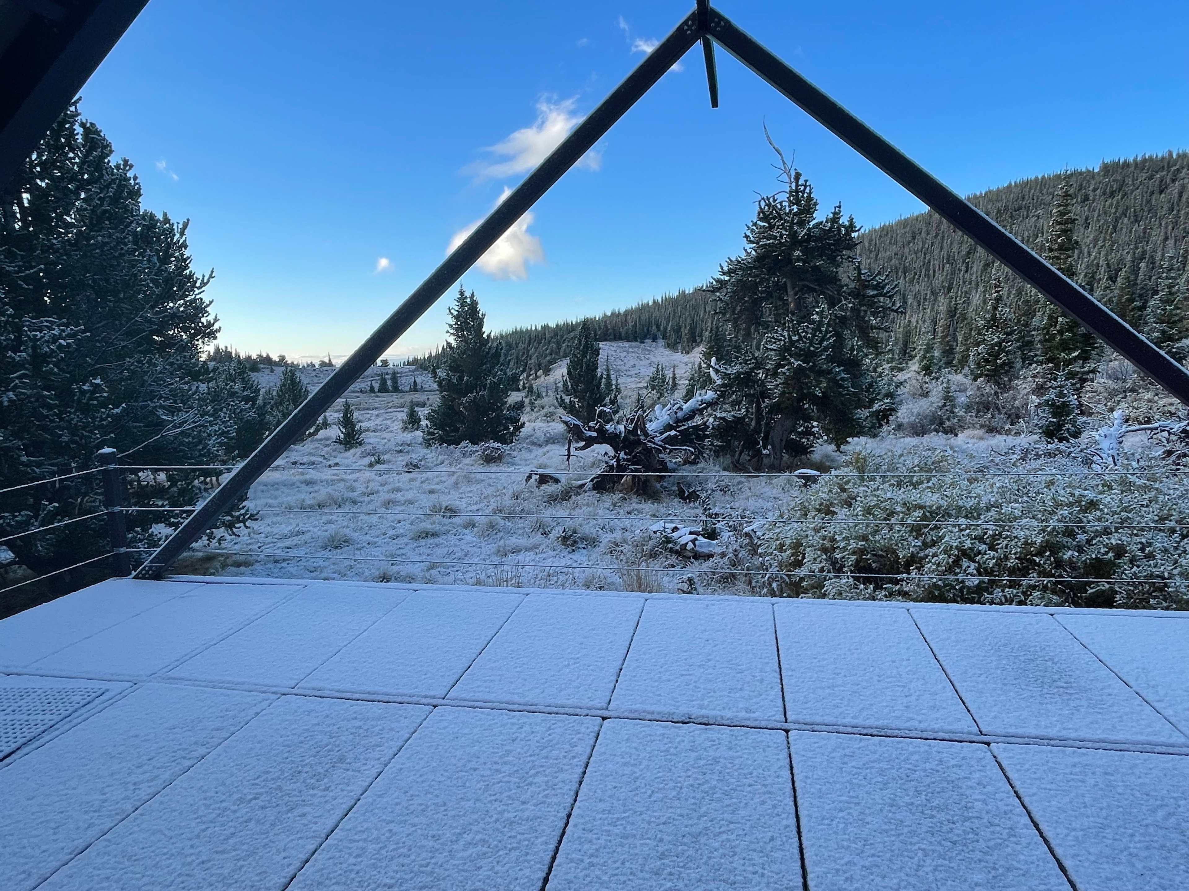 Crisp morning air after an overnight dusting with a moose sighting