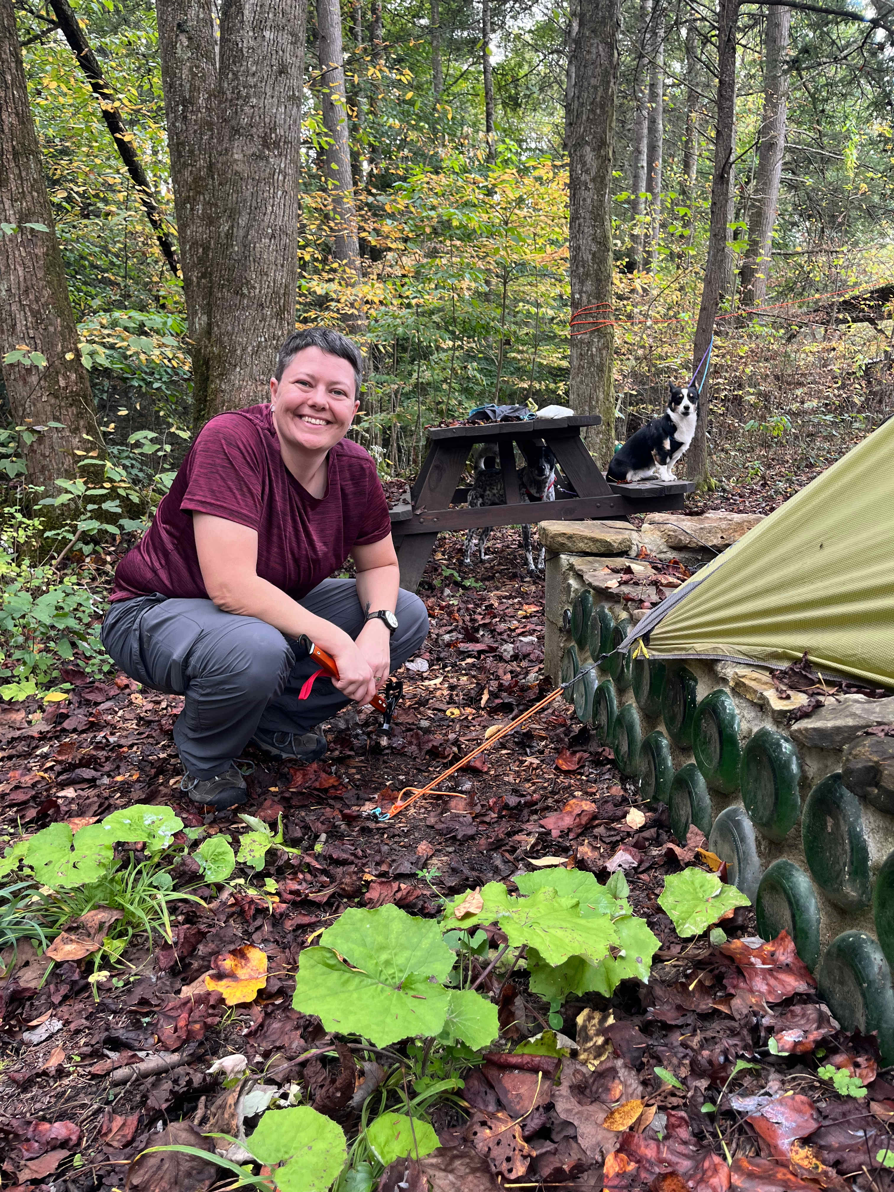 Mountain Magnolia Forest Farm