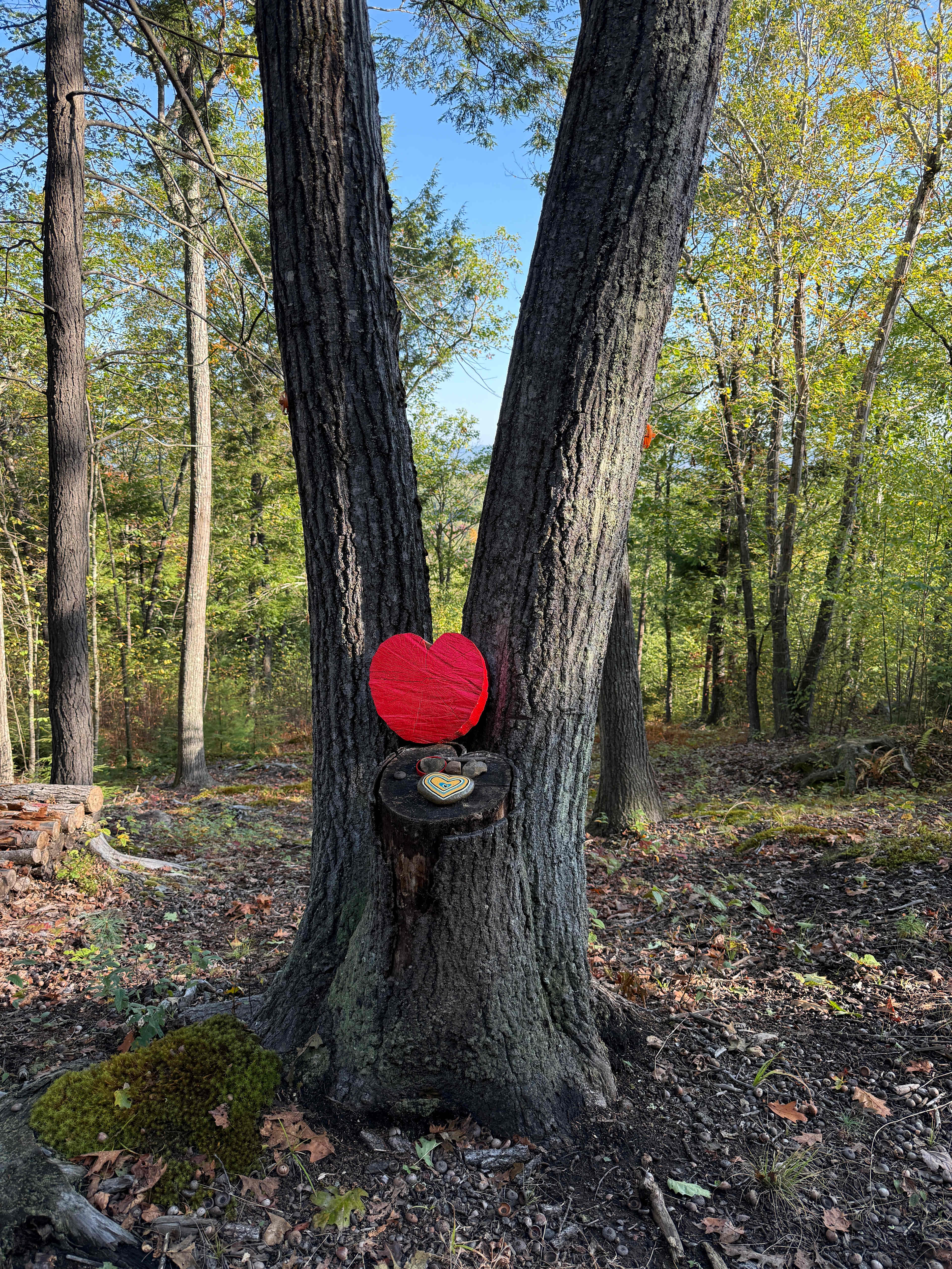 Heart tree