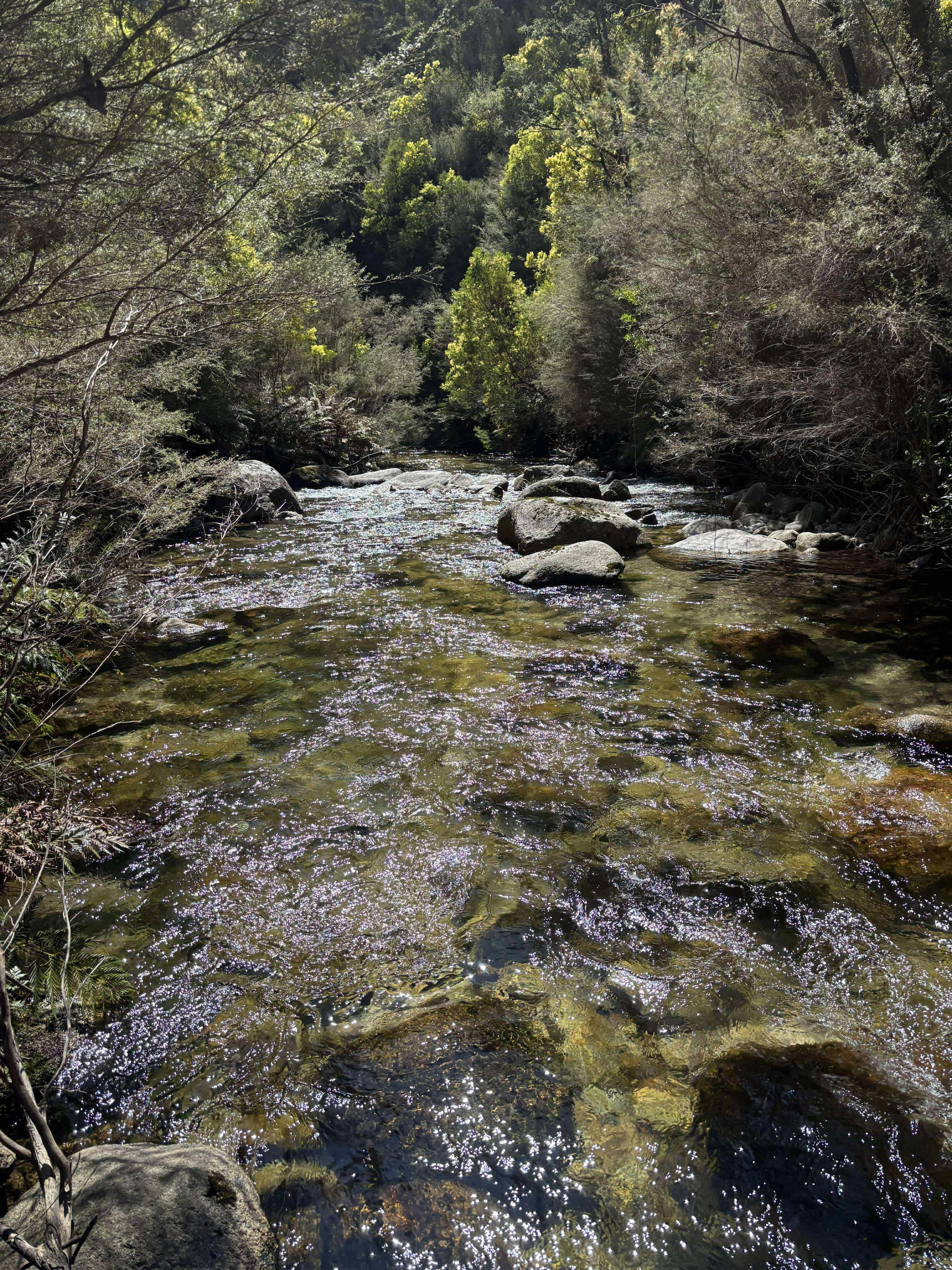 High Country Paradise