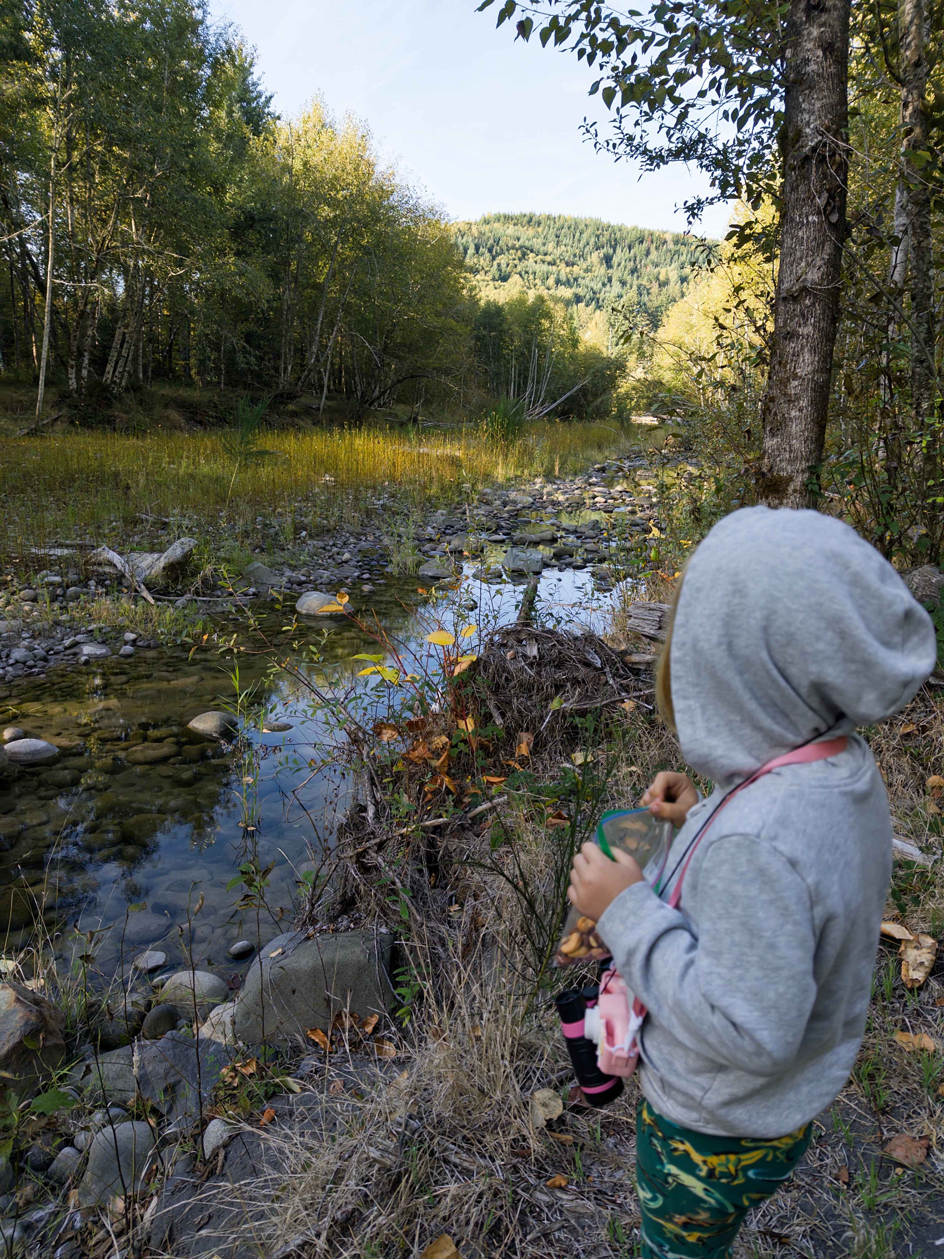 Riverside Camping Near Mt Rainier