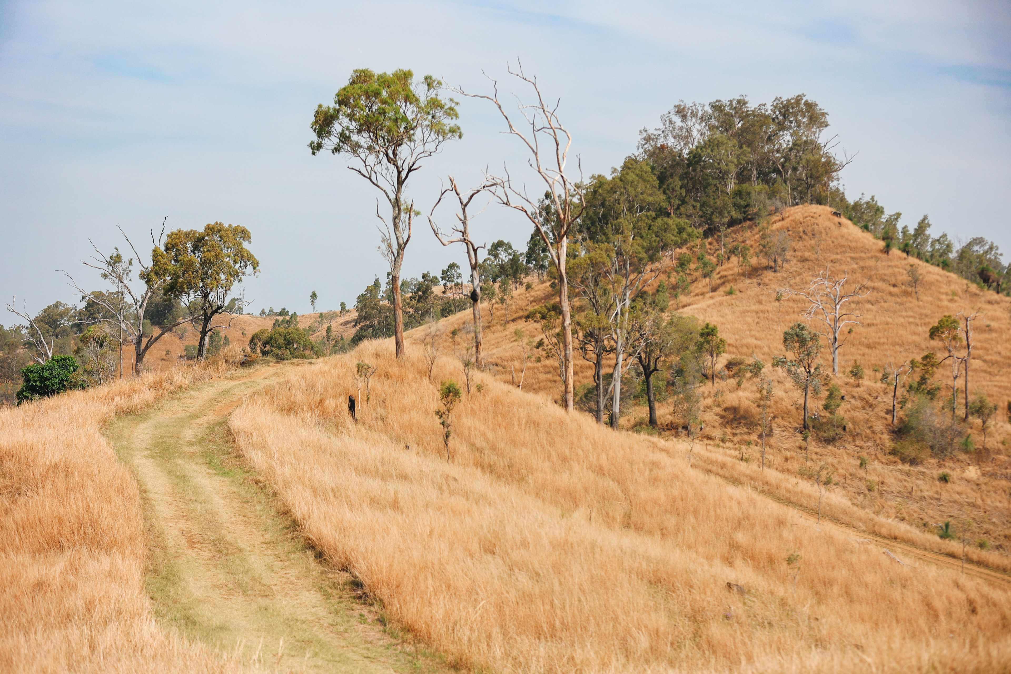 Juburra Country Camping
