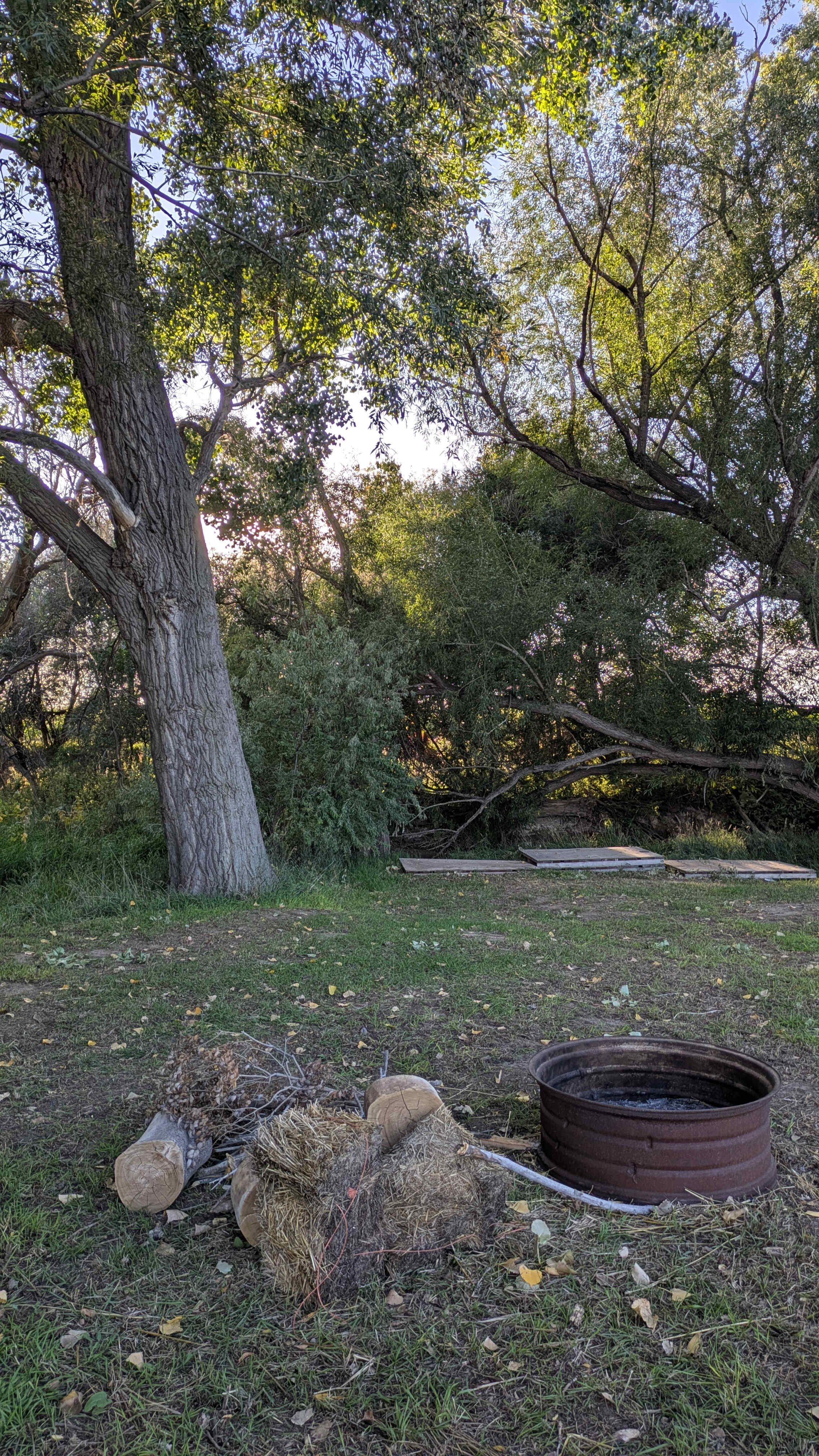Wildhorse Creek At BE Farm