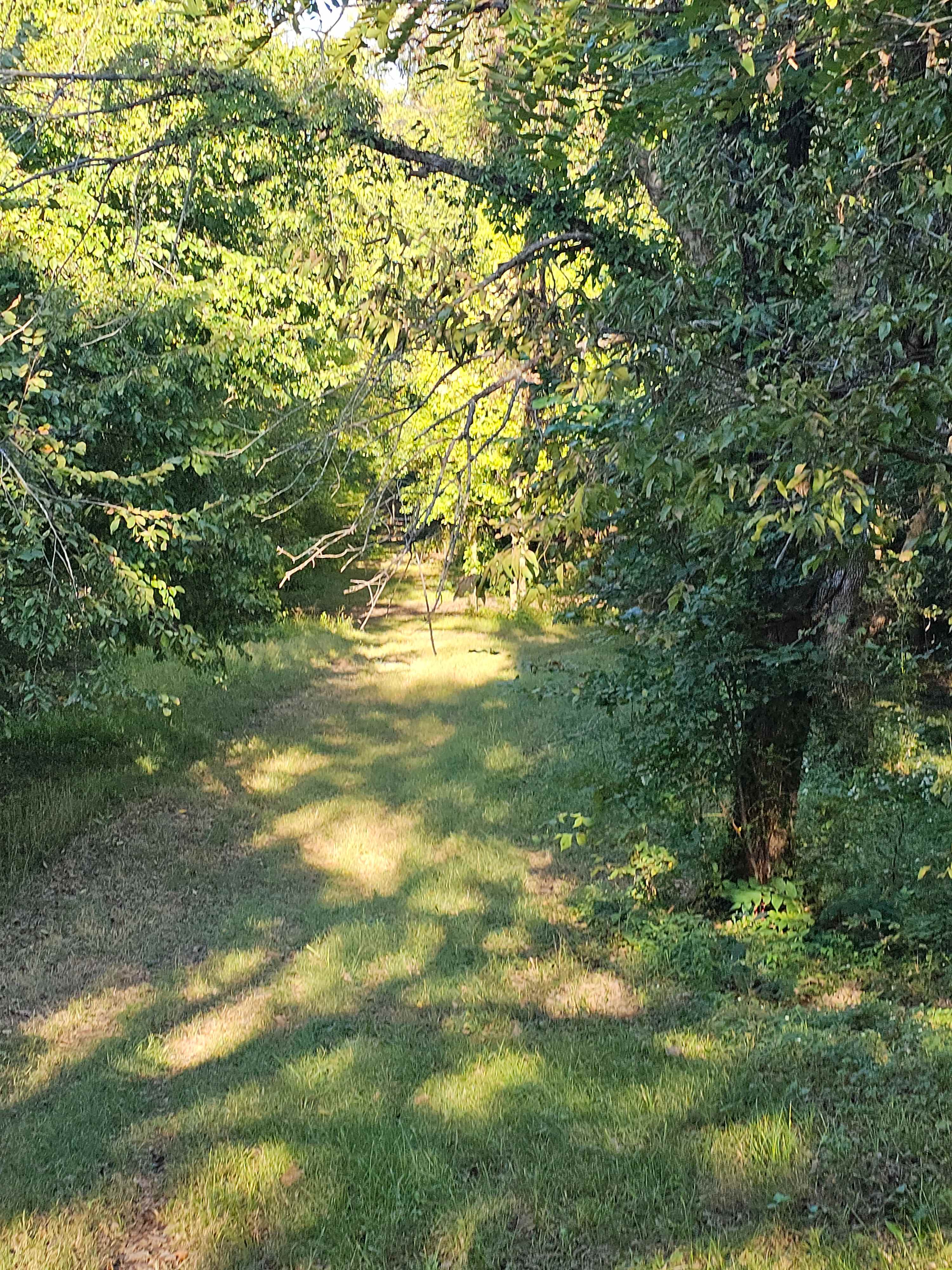 Black Sheep Bluff