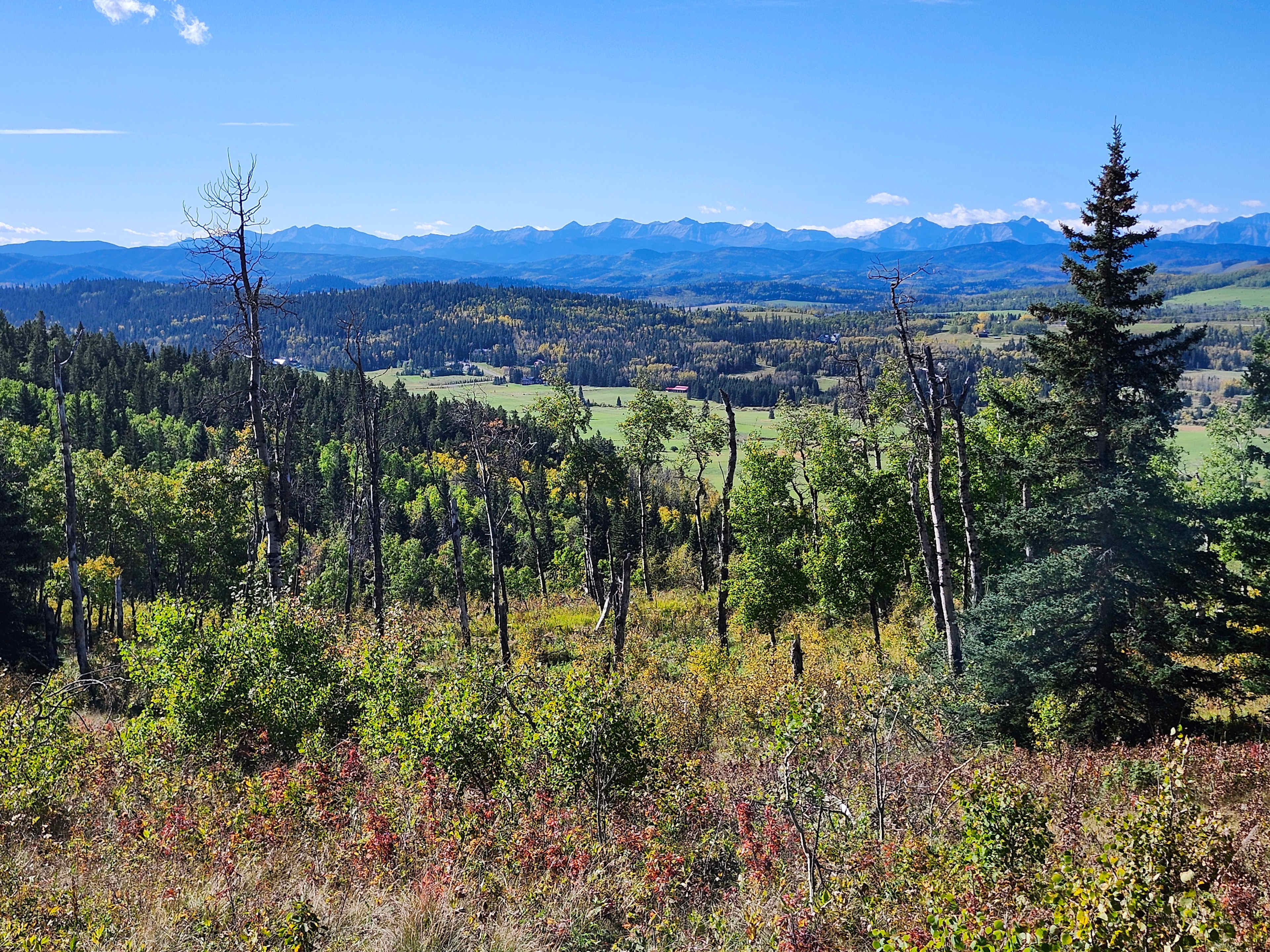 Viewpoint at Brown Lowrey Provincial Park (nearby)