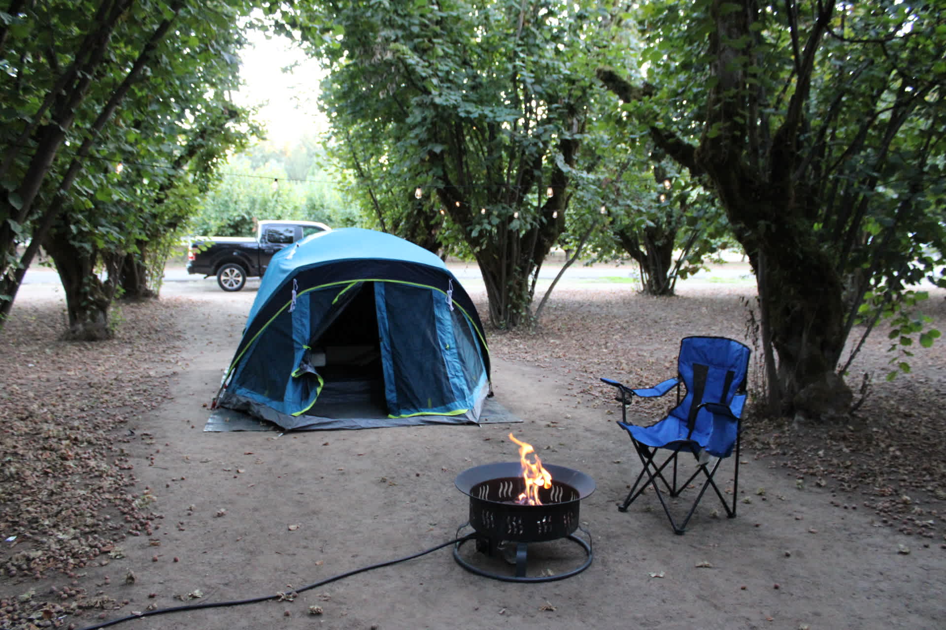 Tranquil Orchards and Wine Tours