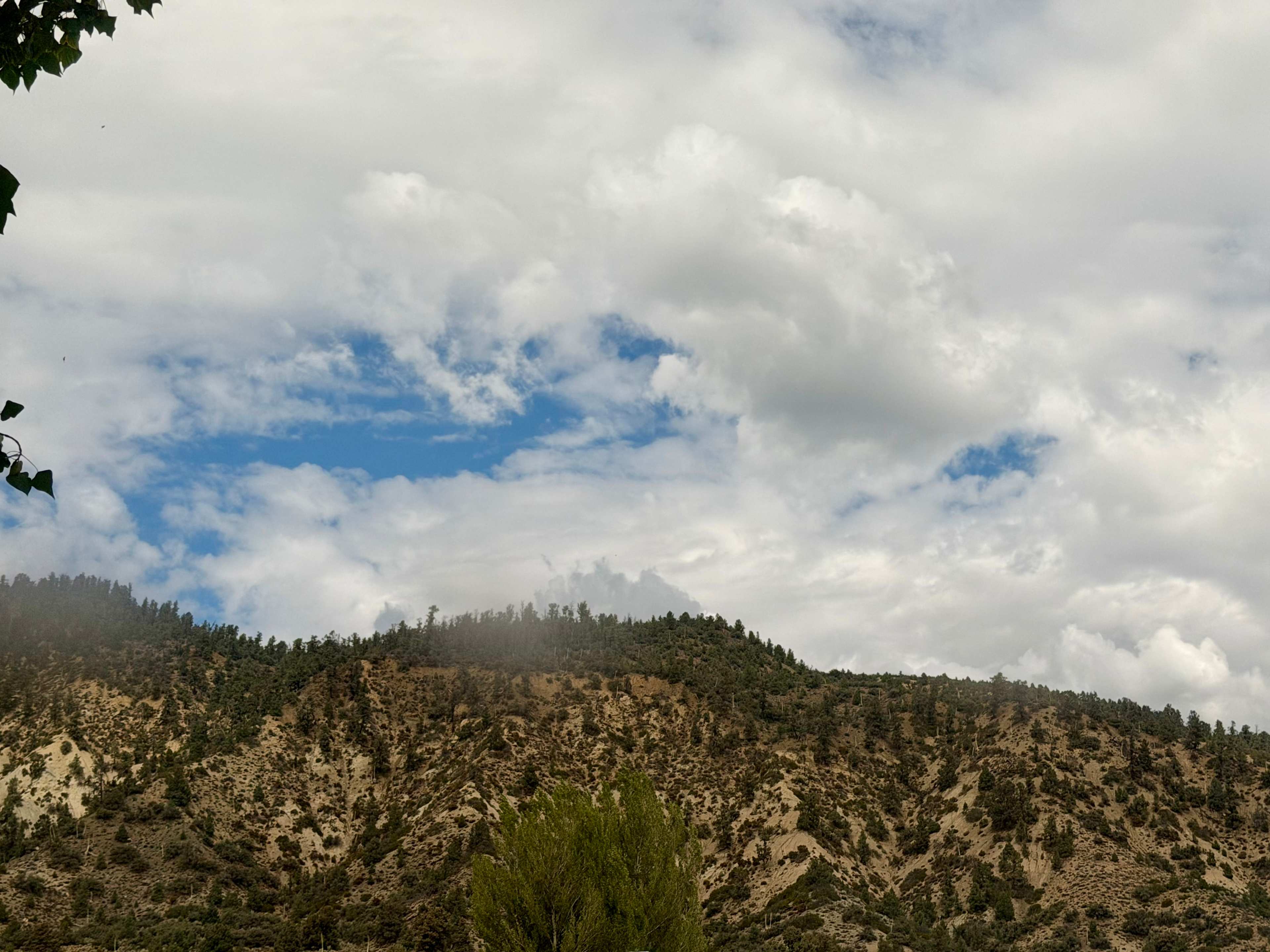 The Mountain View’s