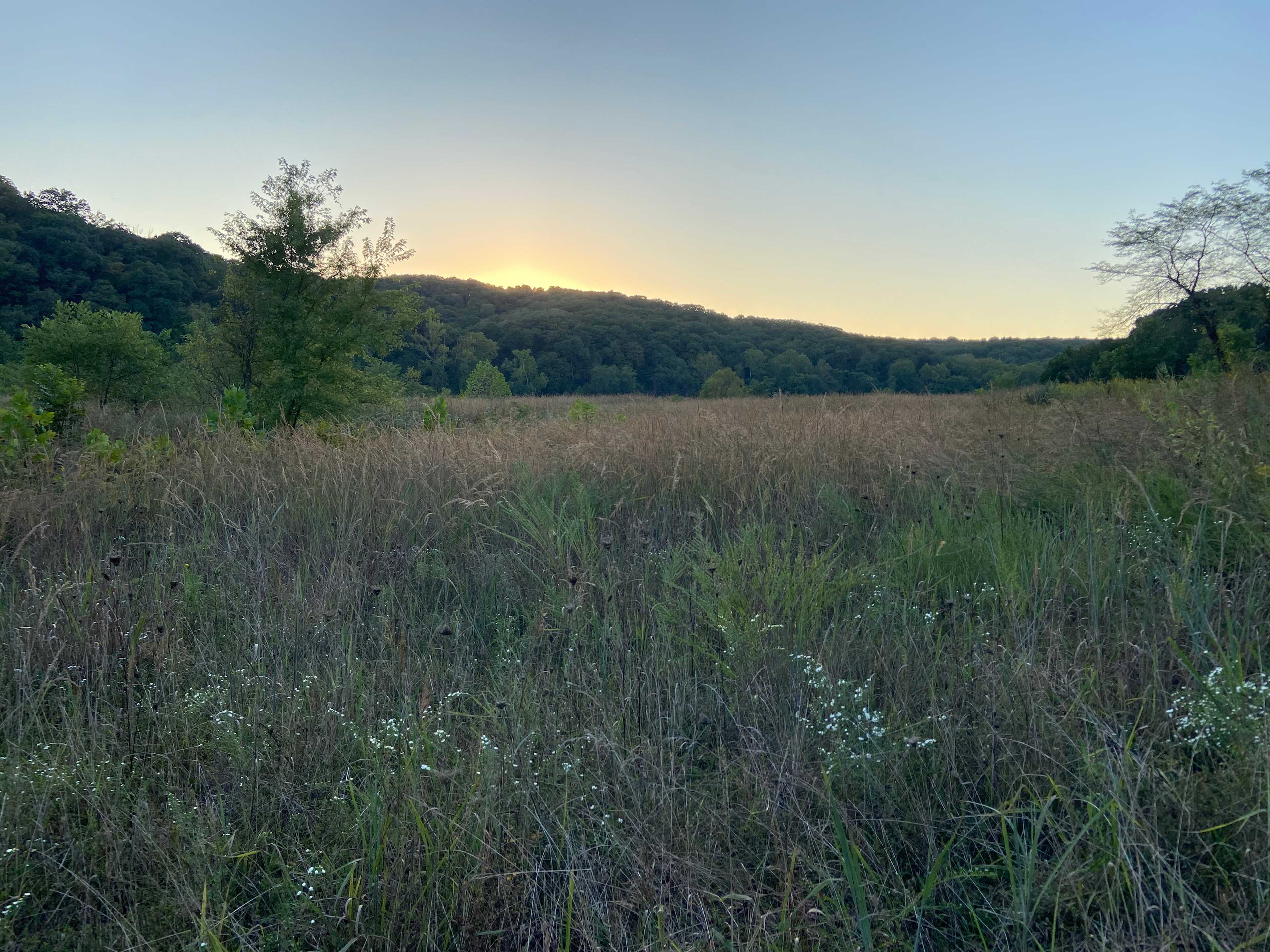 MoonRise Cabin-Farm w/ Trails