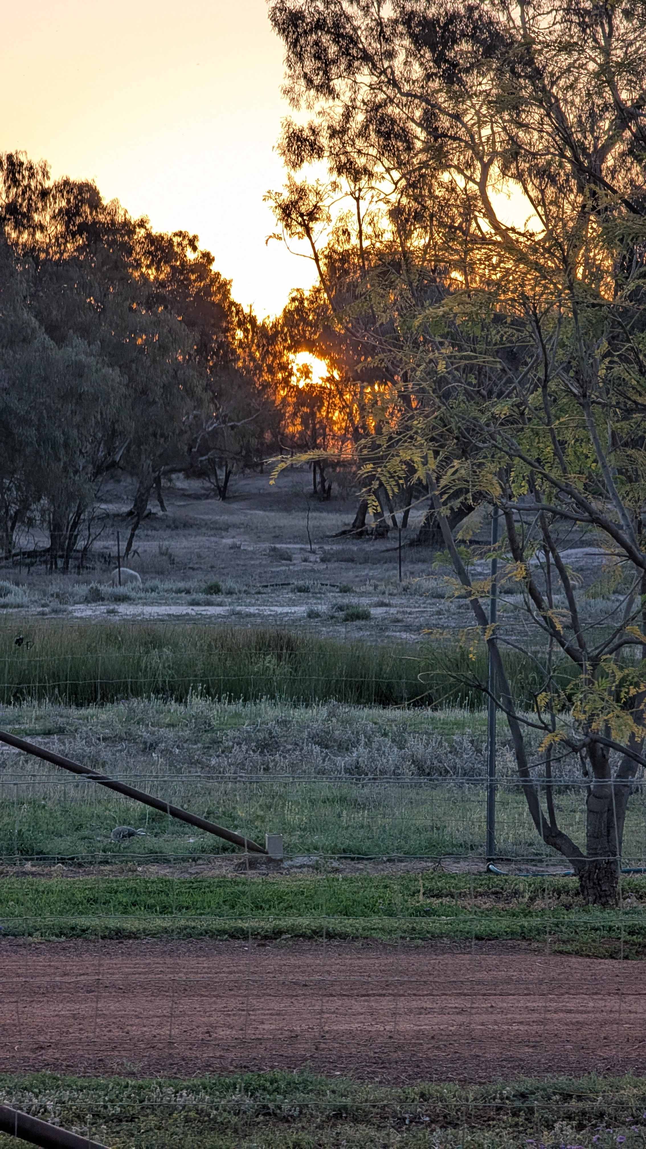 Warumbul Balonne River Camp