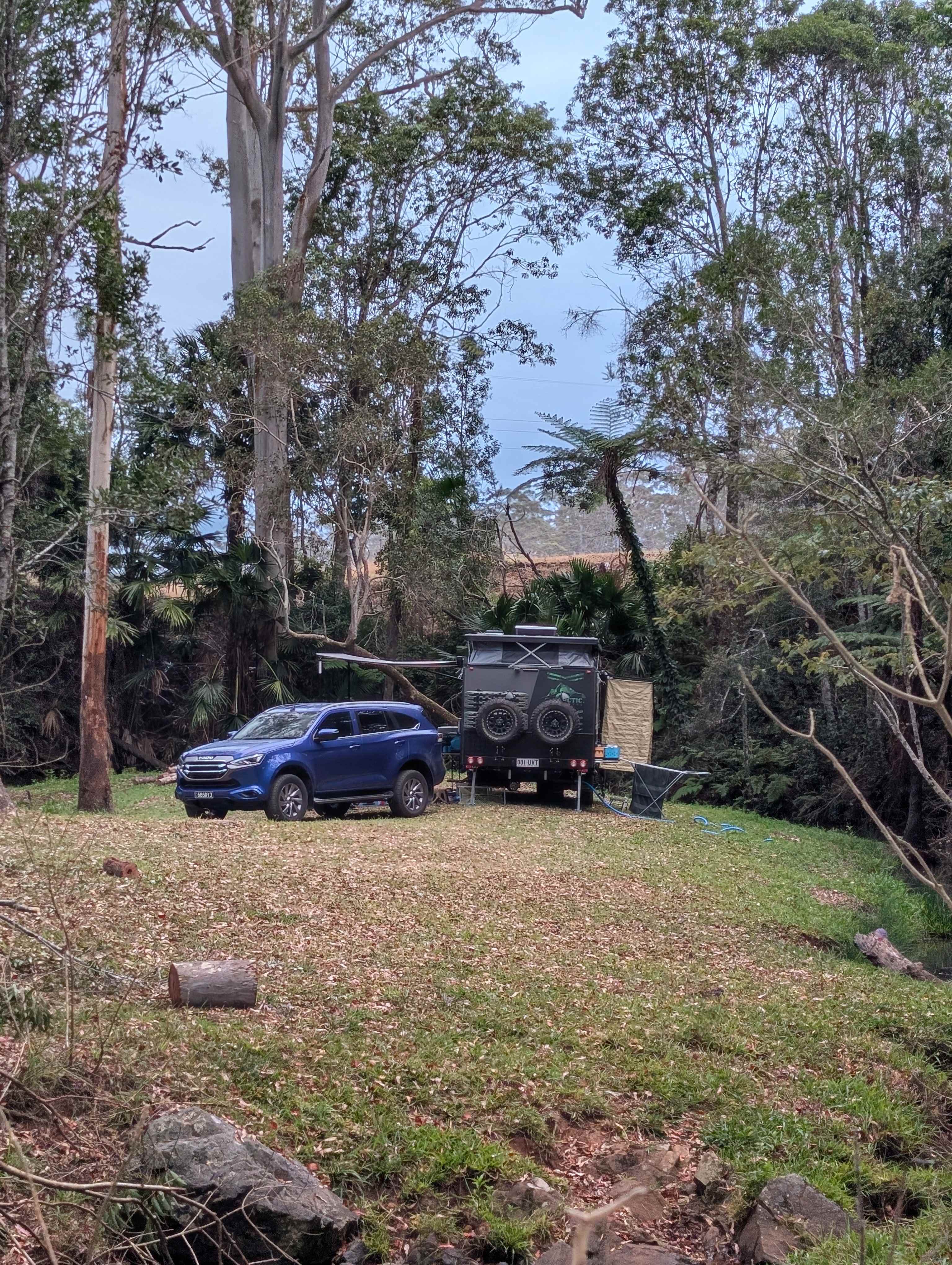 Diamond Ridge Grazing