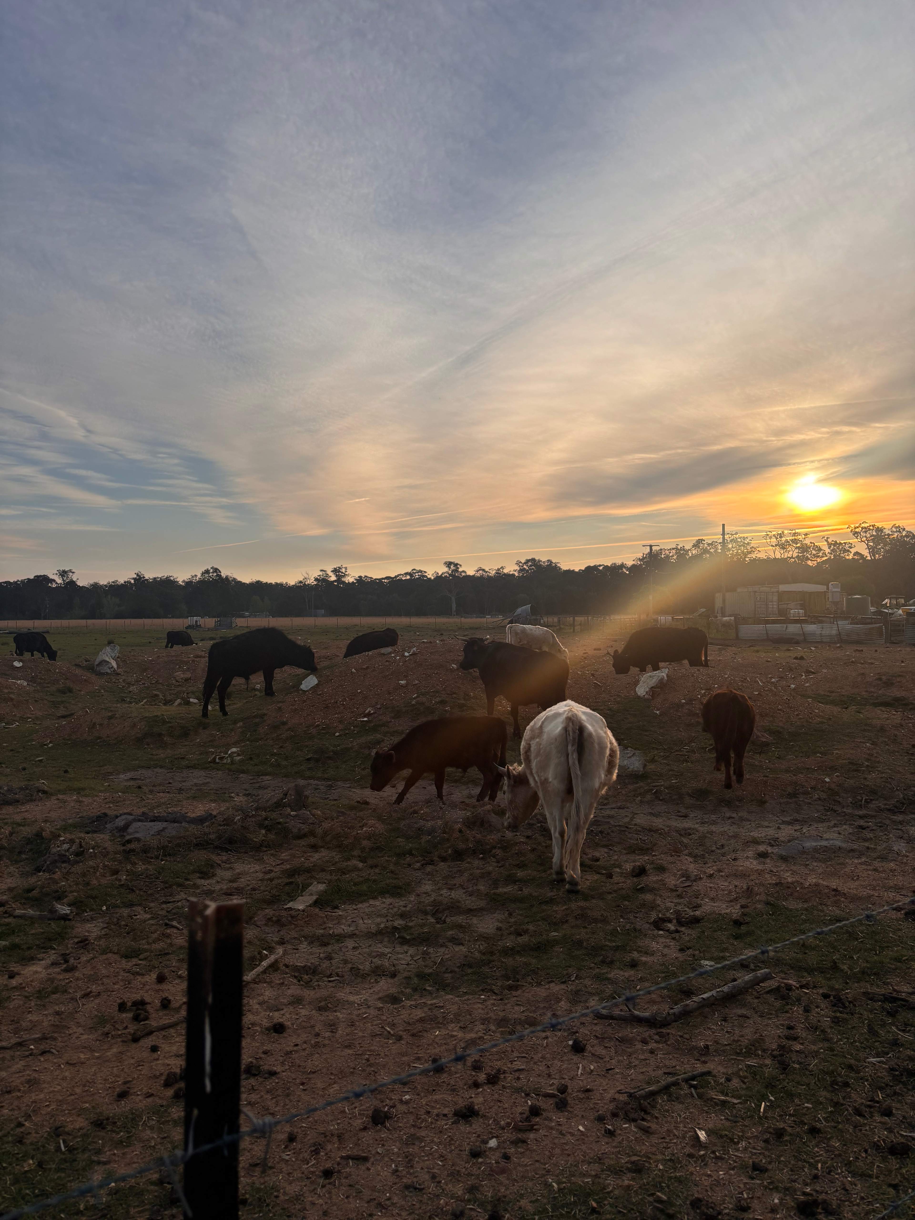 The Hatch Farm - Port Macquarie