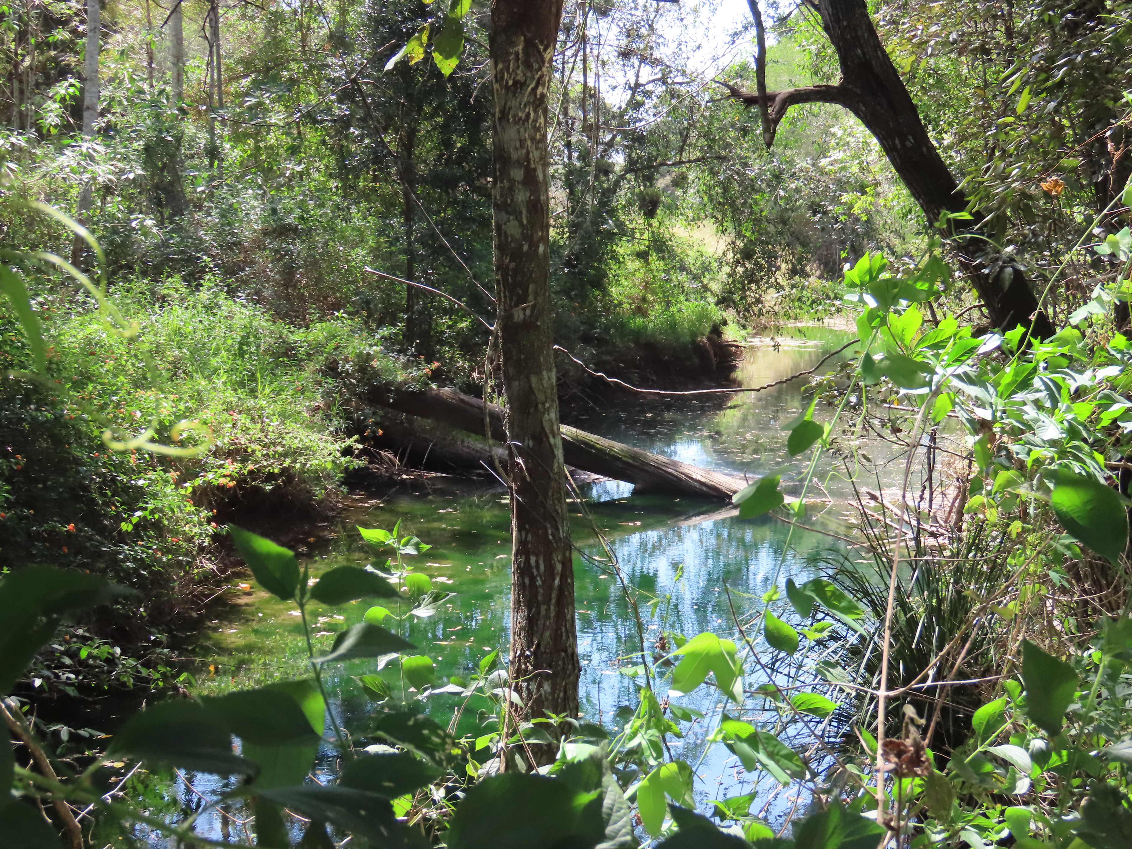 Cahoola Cabins and Camping