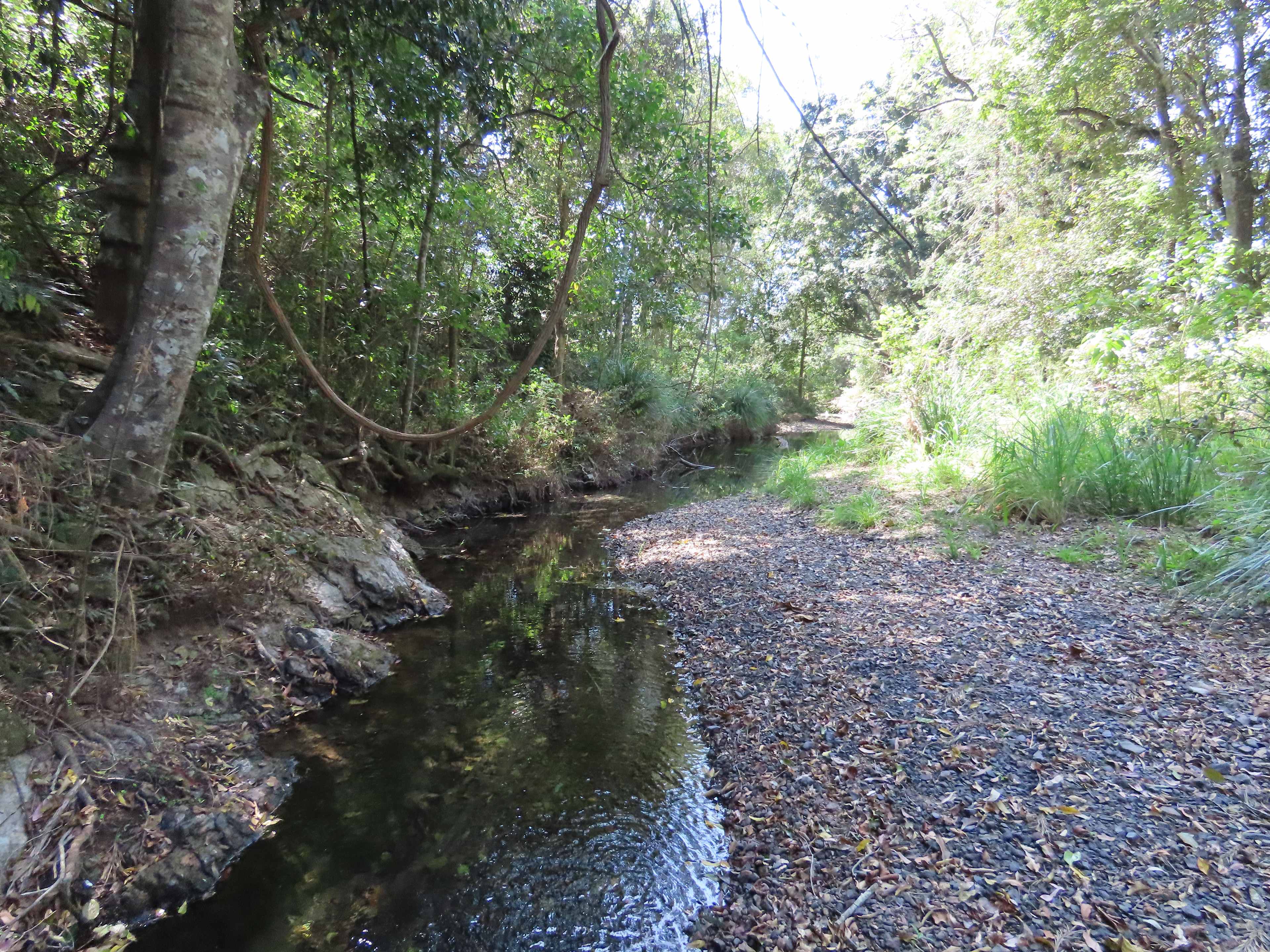 Cahoola Cabins and Camping