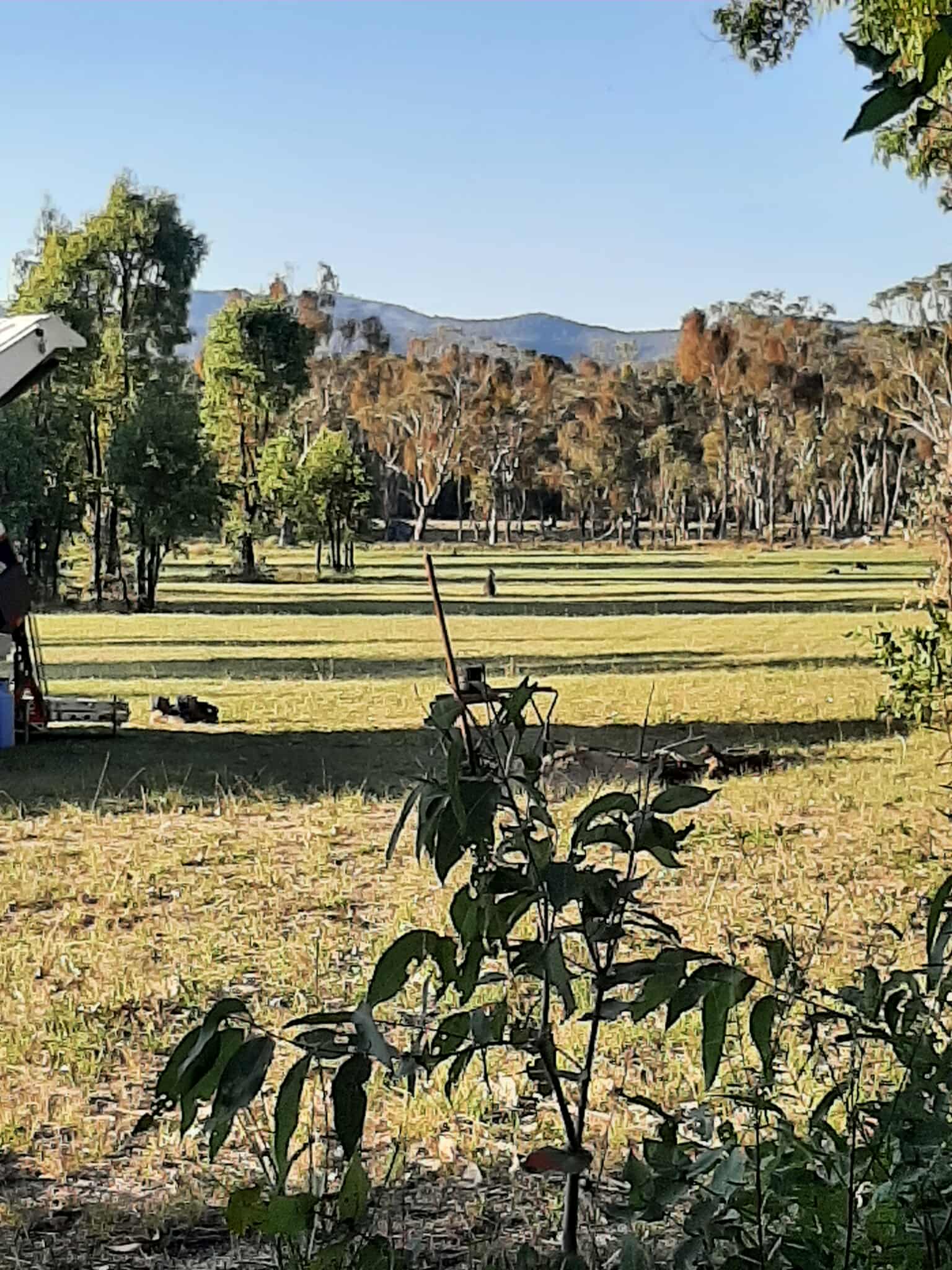 Jennings Tranquil Country Camp