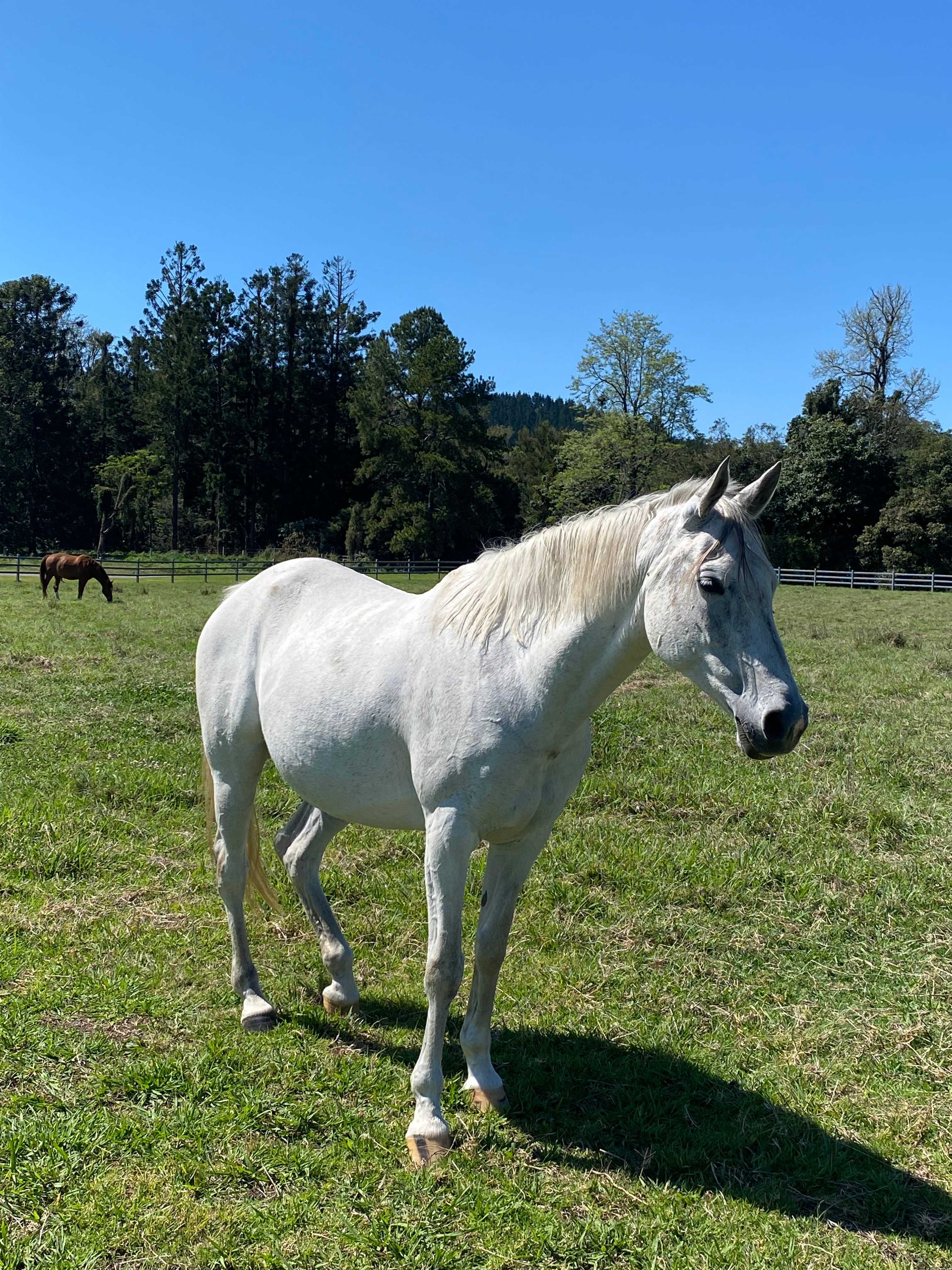 Stirling’s Crossing