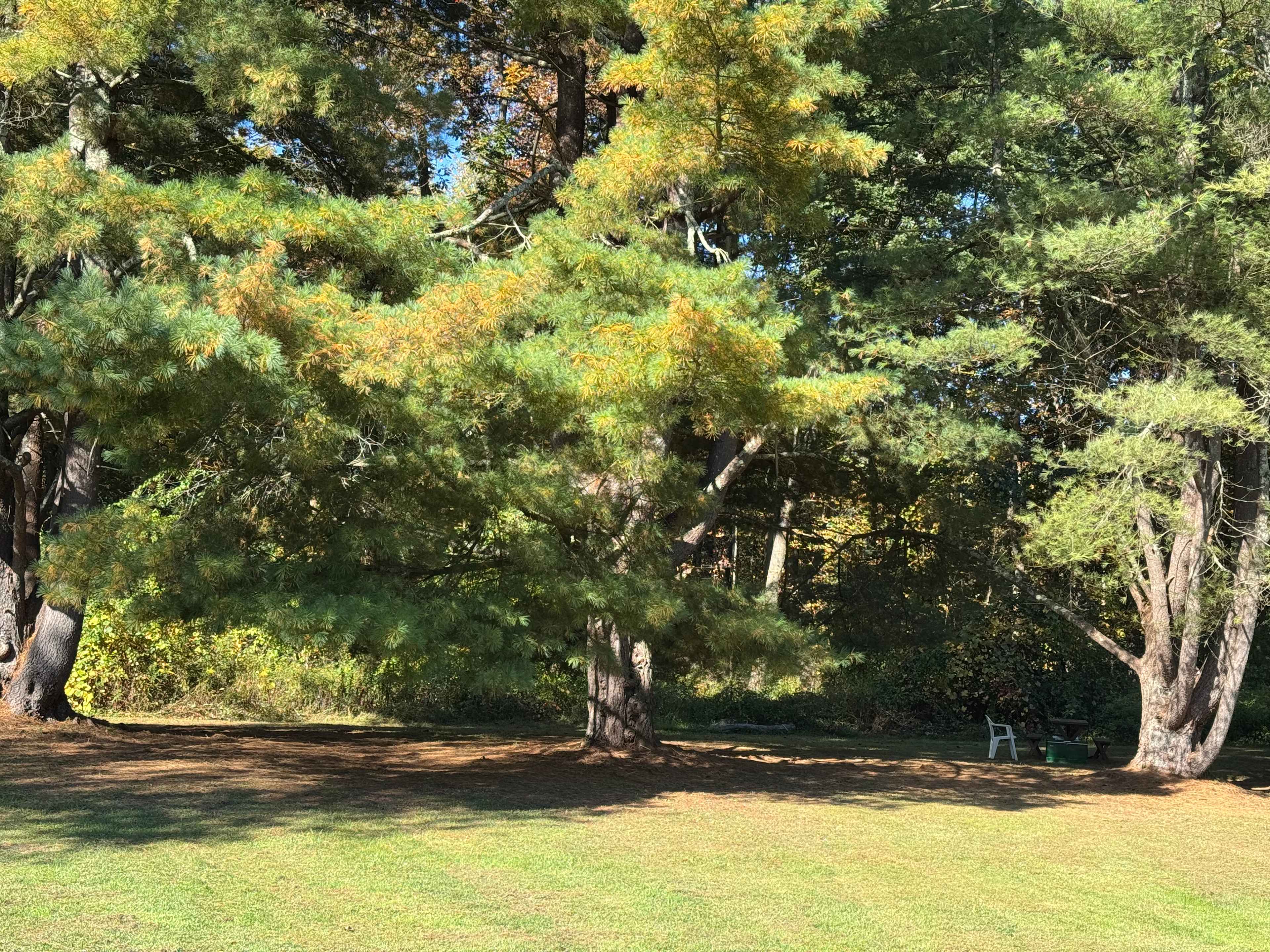 Taconic Beautiful Fall Camping!