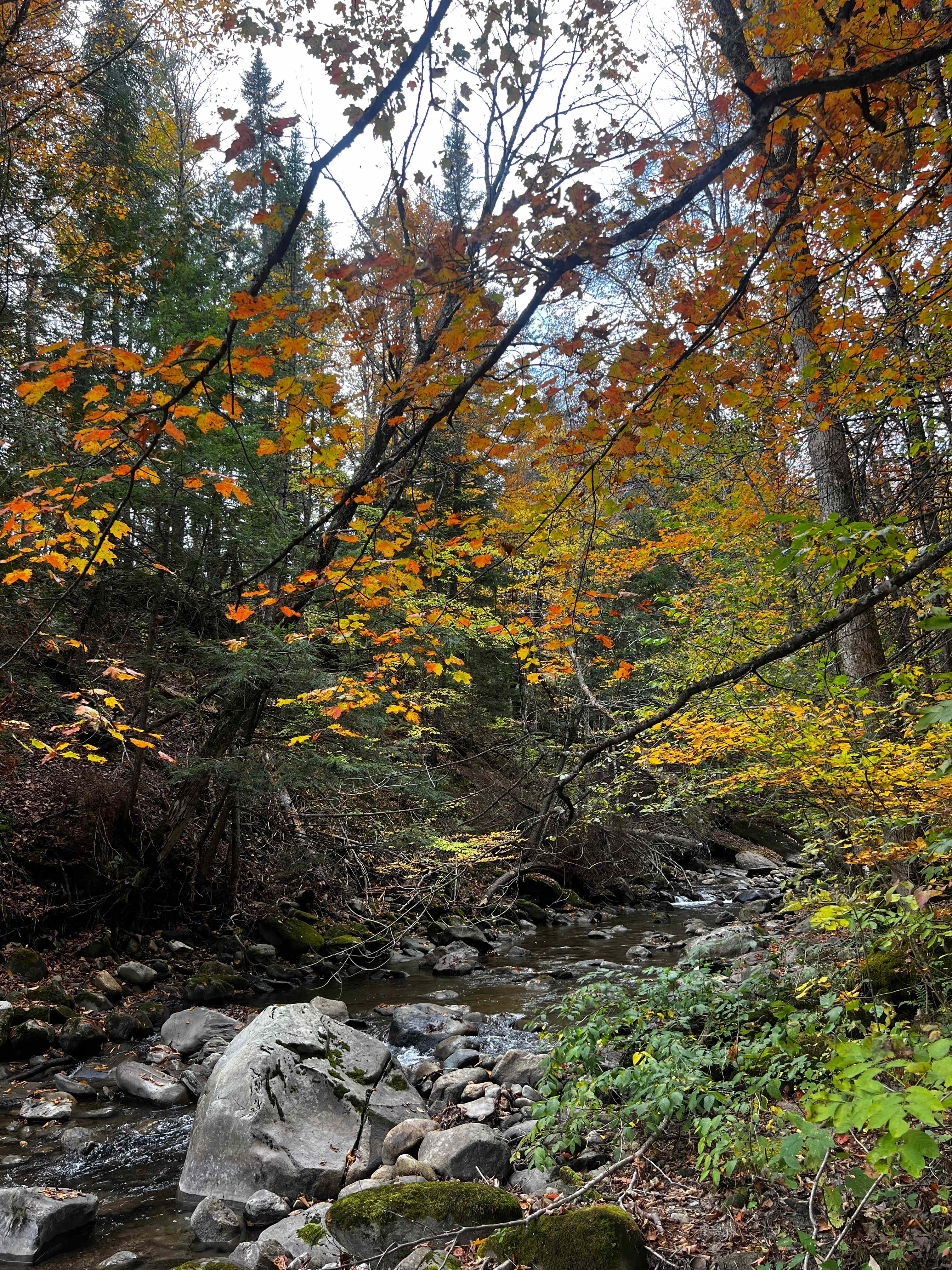 Riverfront Campground