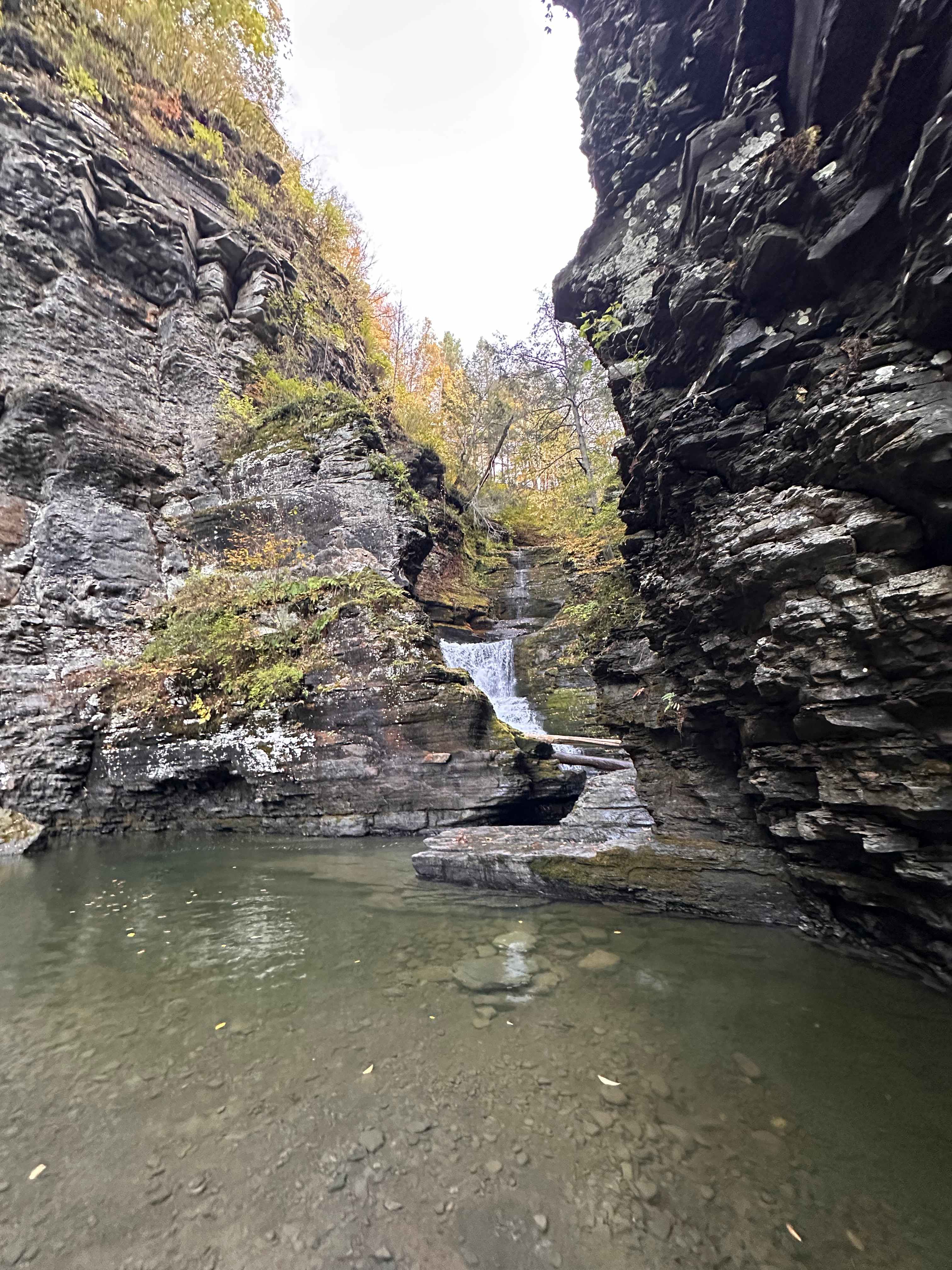 Waterfall Sanctuary & Quiet Retreat