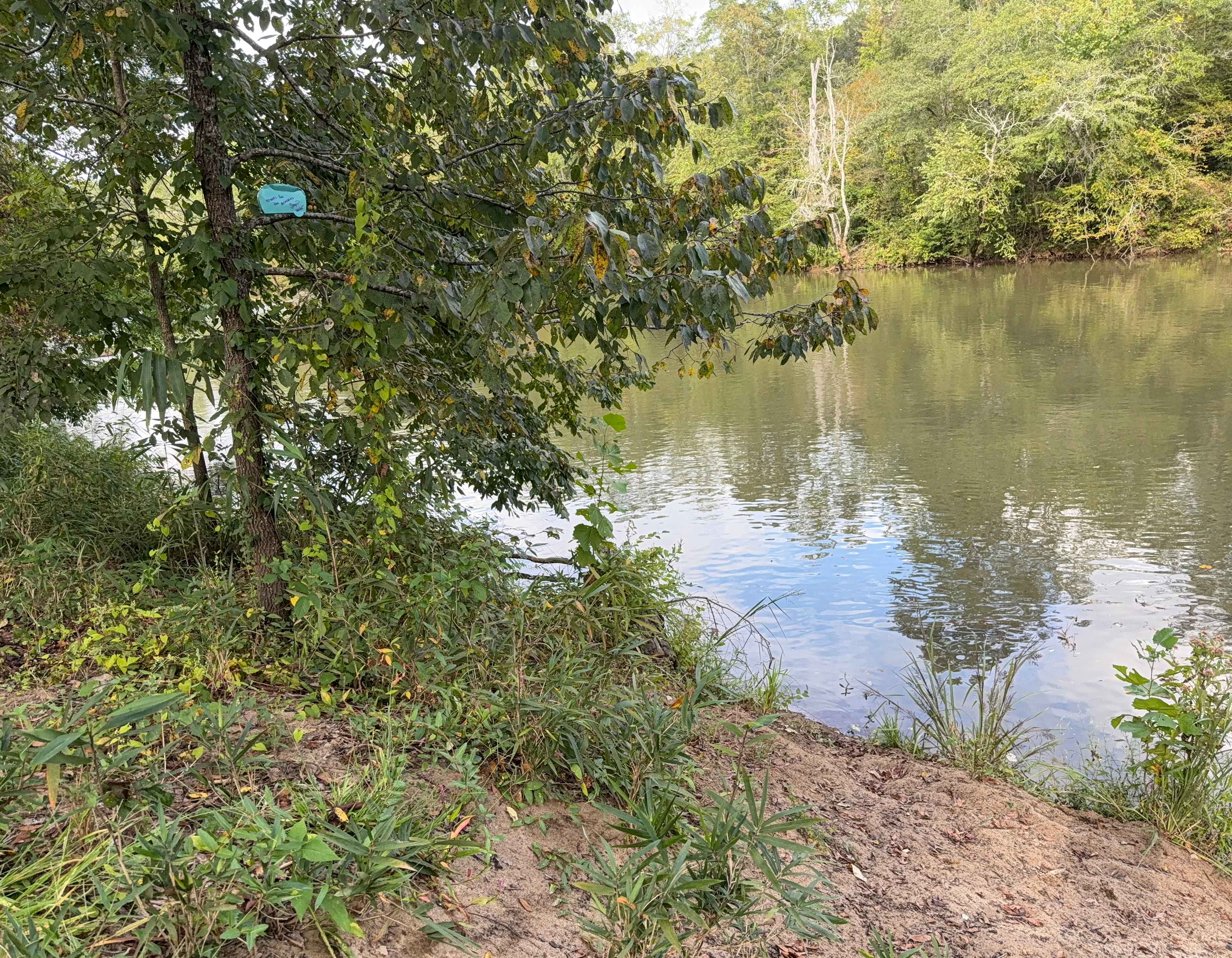 Serenity on the Saluda