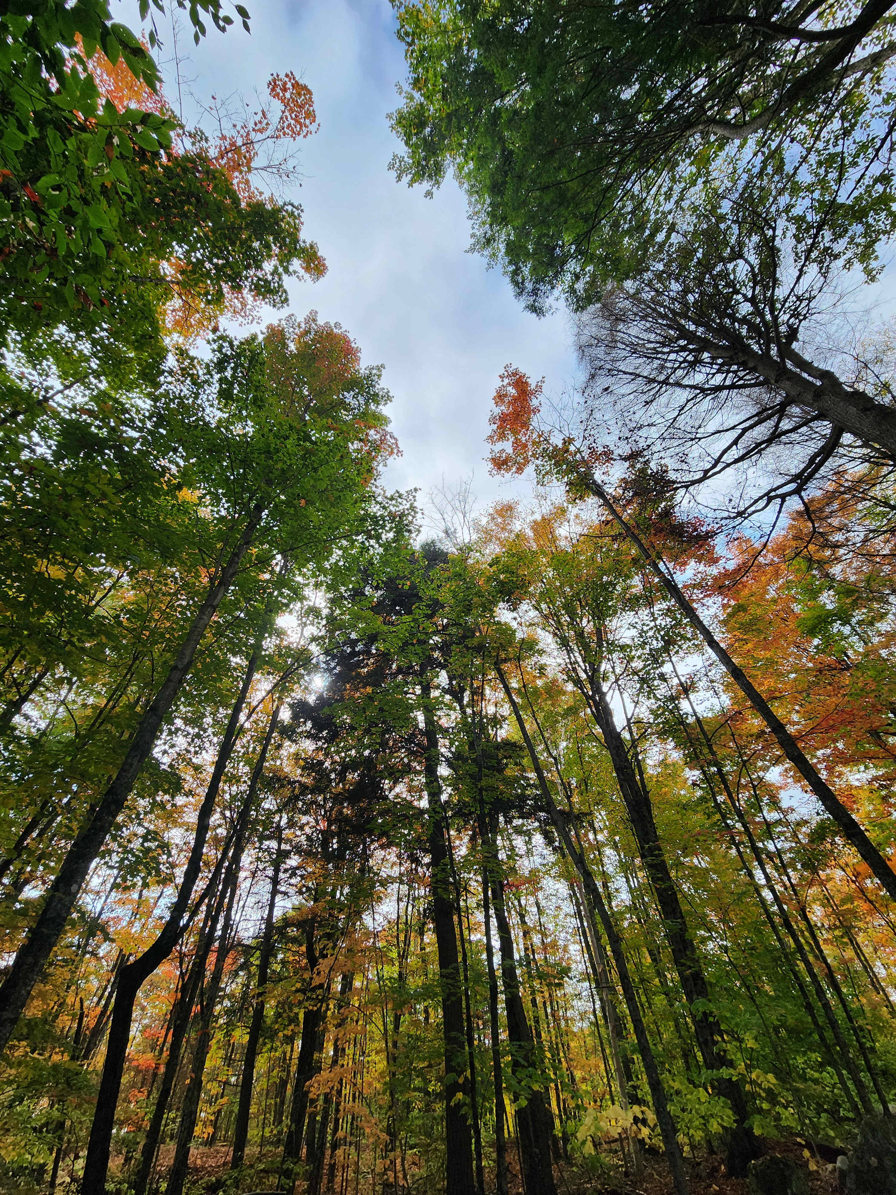 Big Rock Eco Retreat & Campgrounds