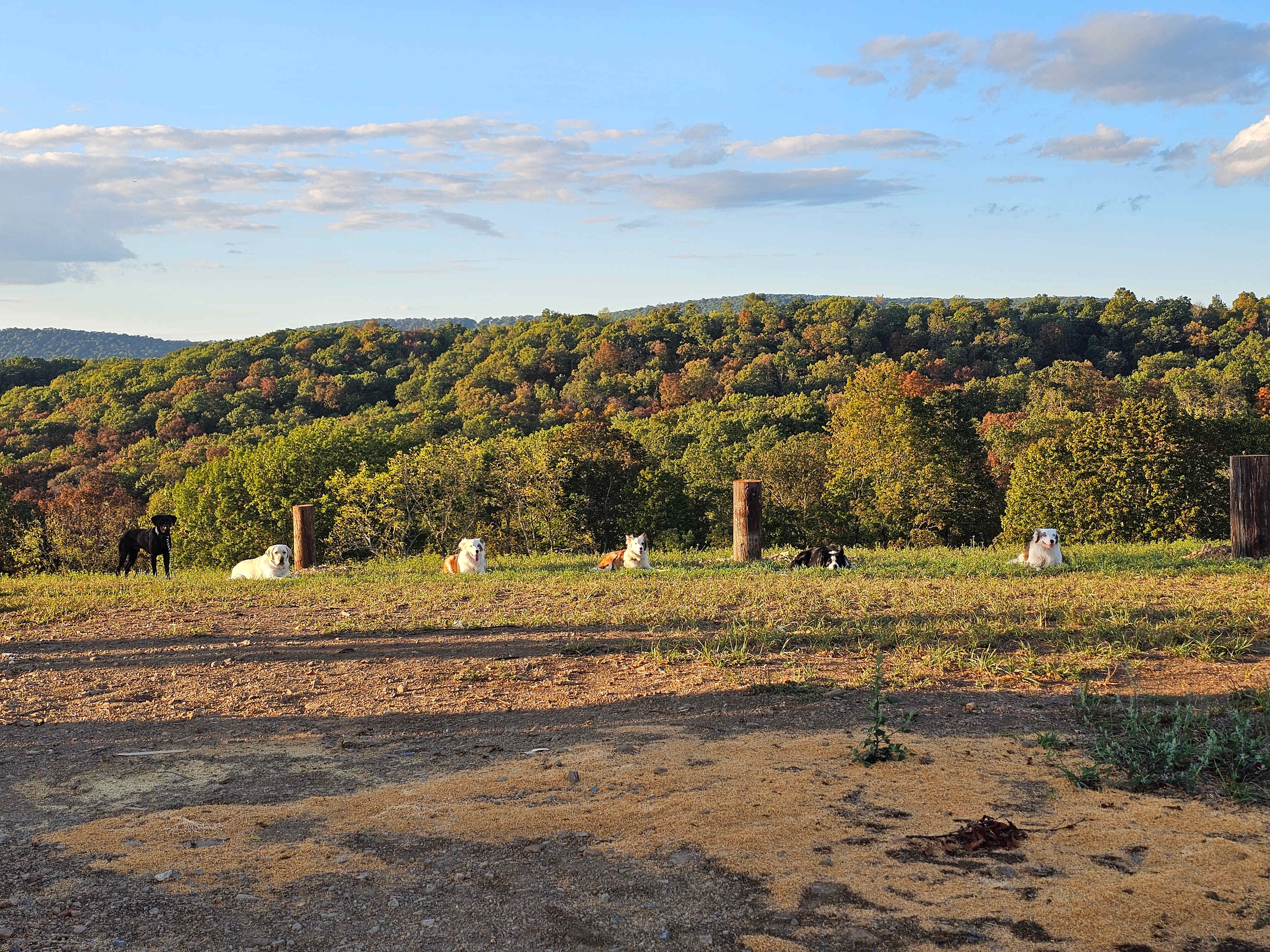 Gorgeous Water Overlook