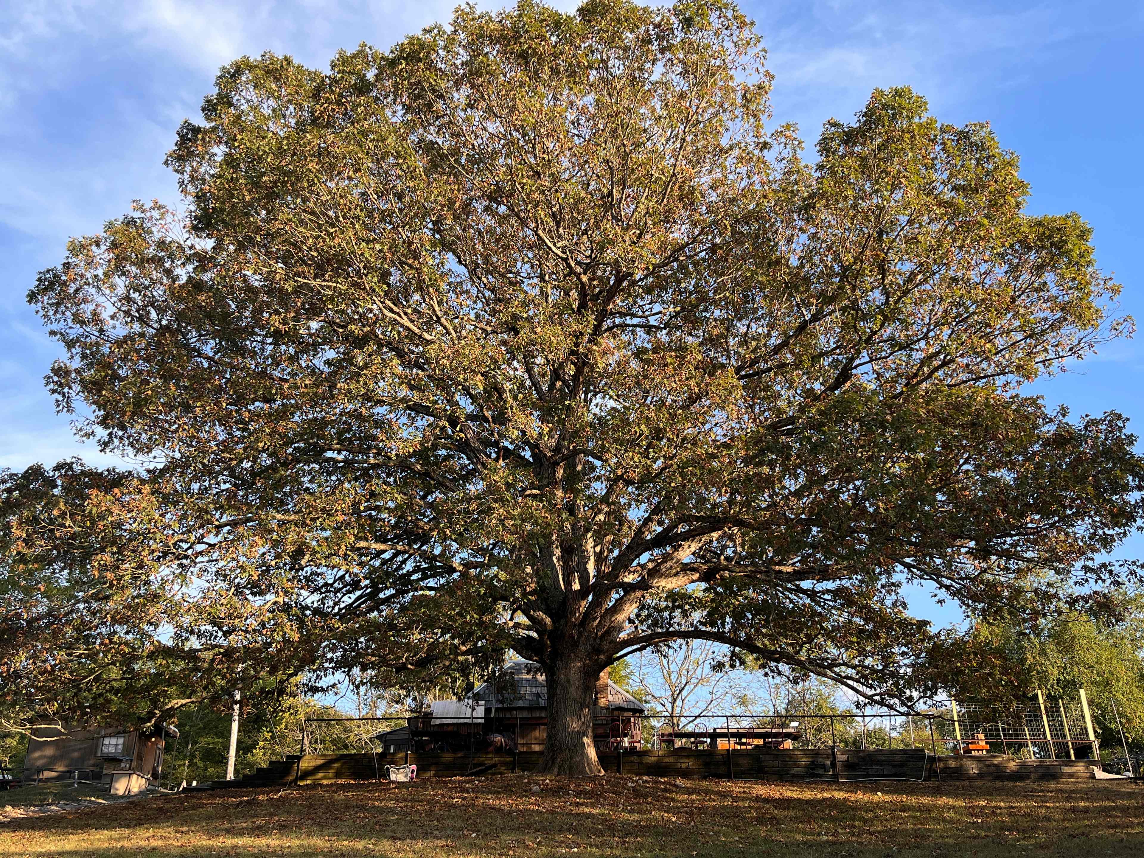 Explore the Ozarks - Dockley Ranch