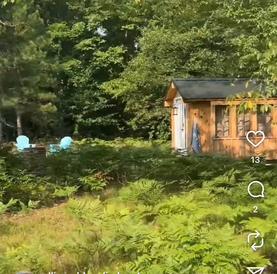 Private Rustic Pines