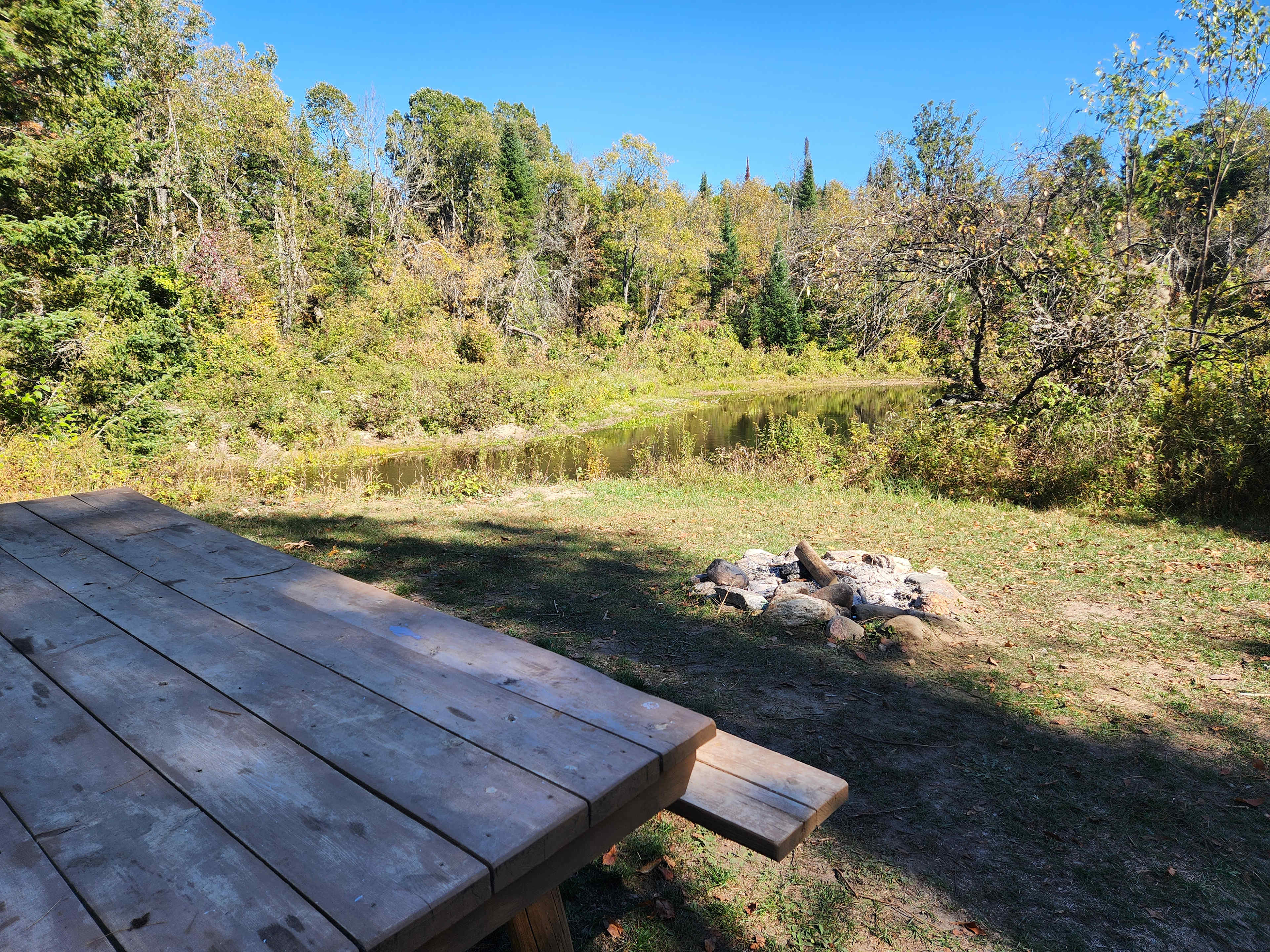Large picnic table and firepit 