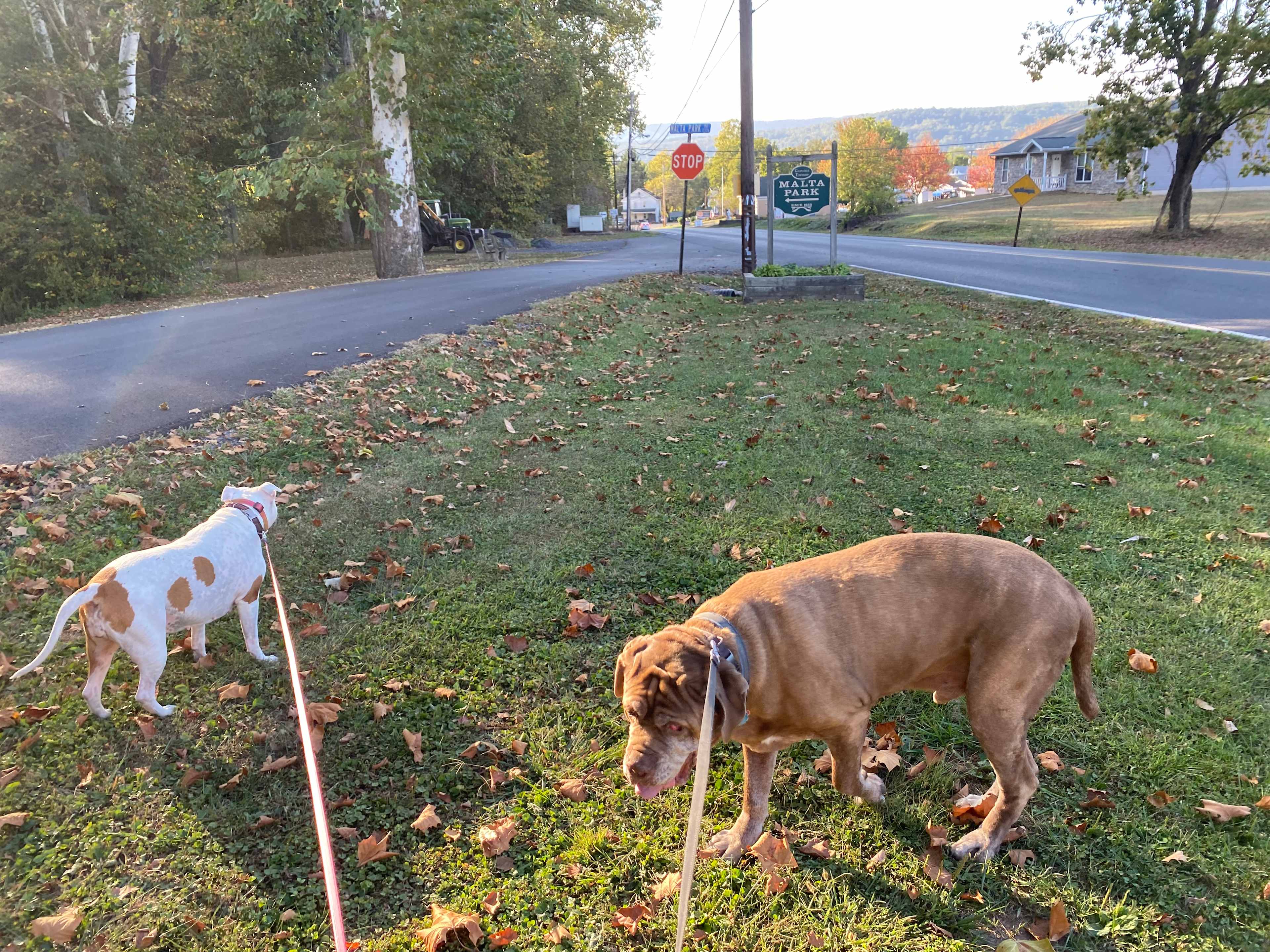 park less than 1 mile away